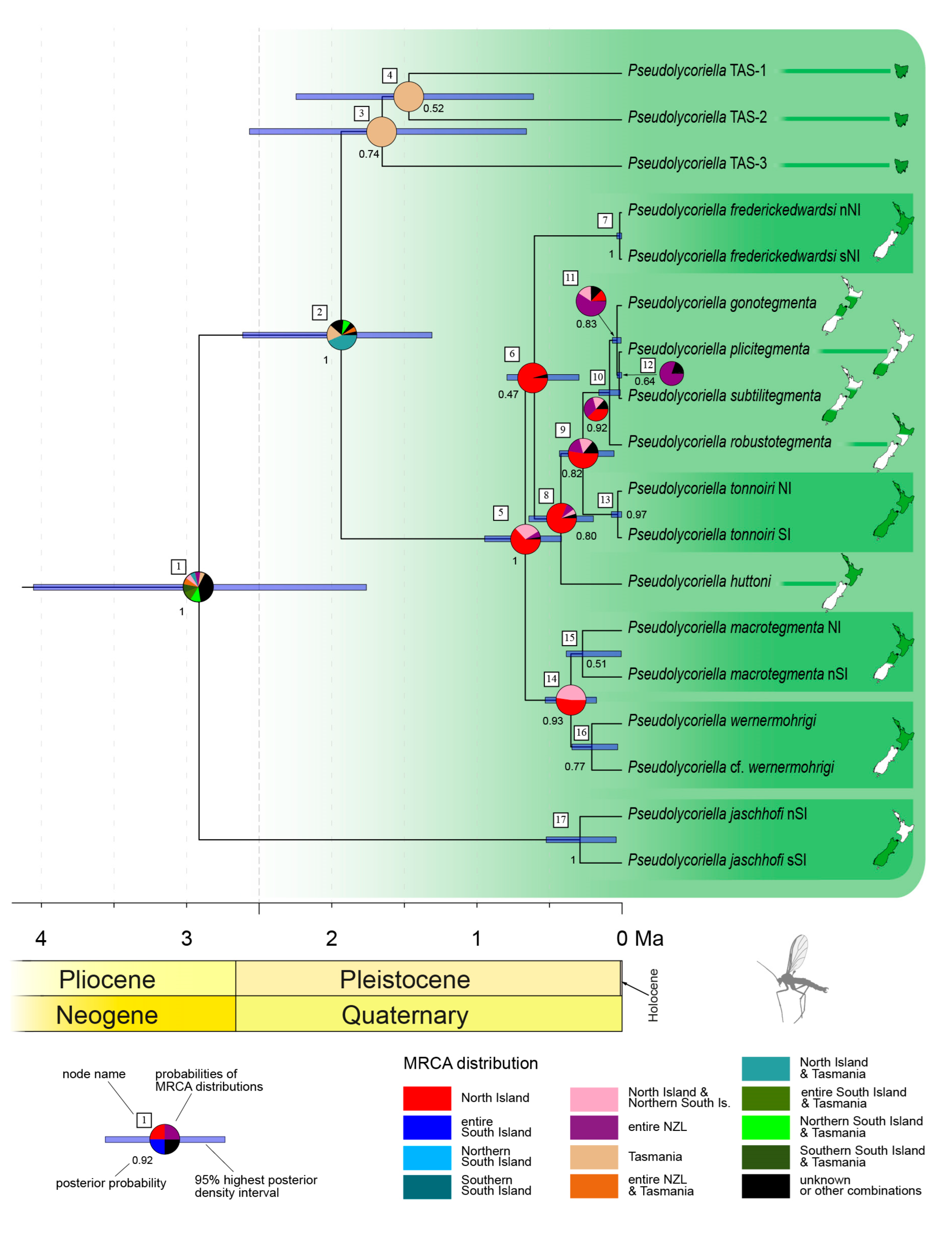 Insects 14 00548 g004 Insects 14 00548 g004