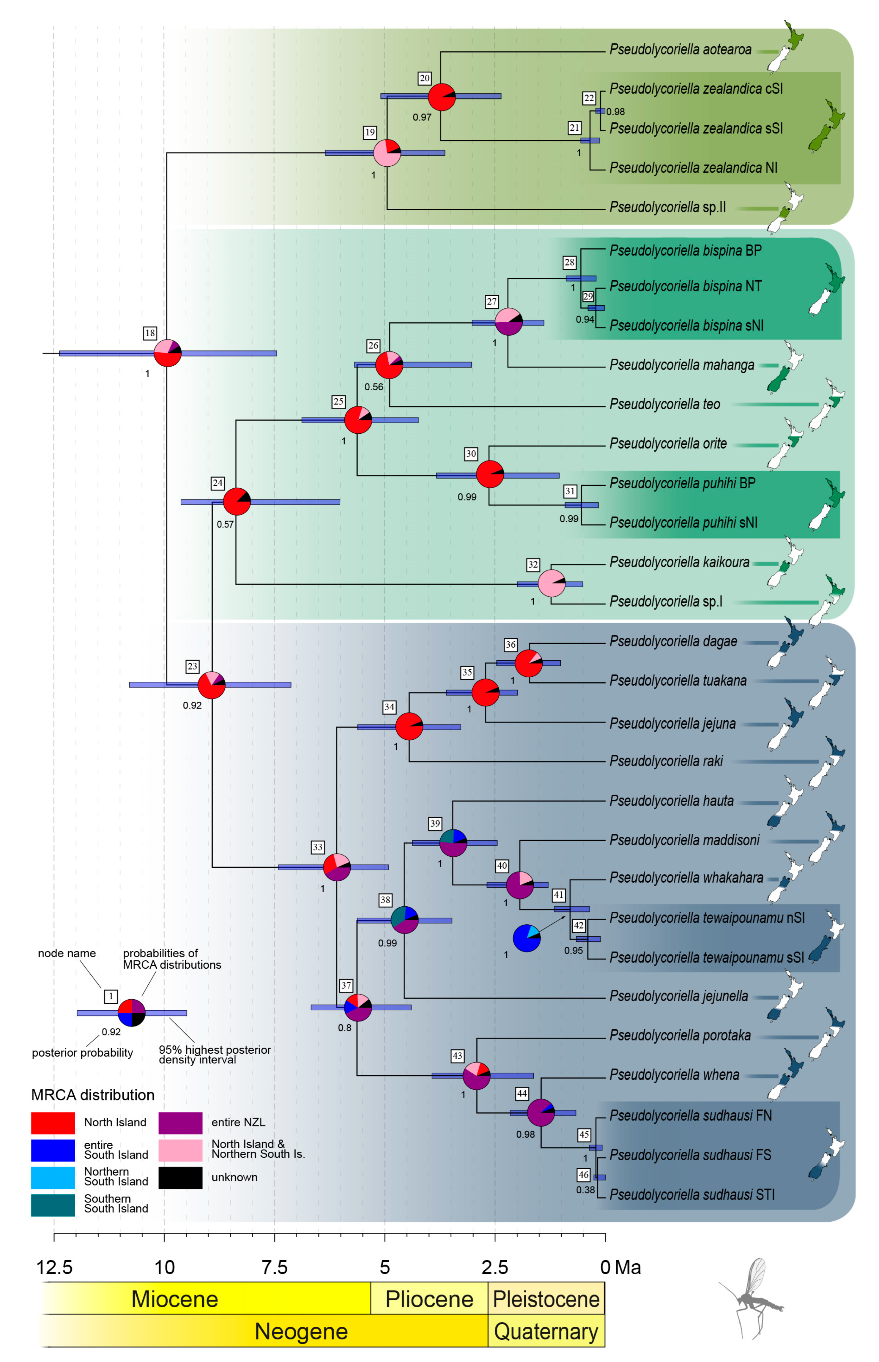 Insects 14 00548 g005 Insects 14 00548 g005