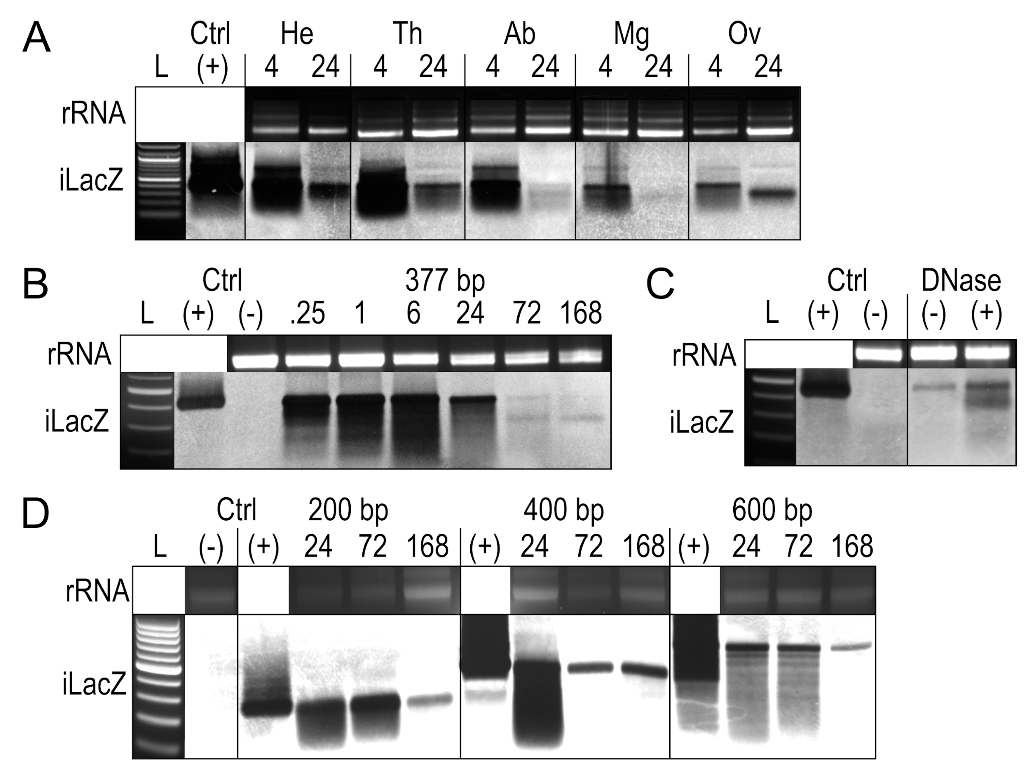 Insects 14 00556 g002