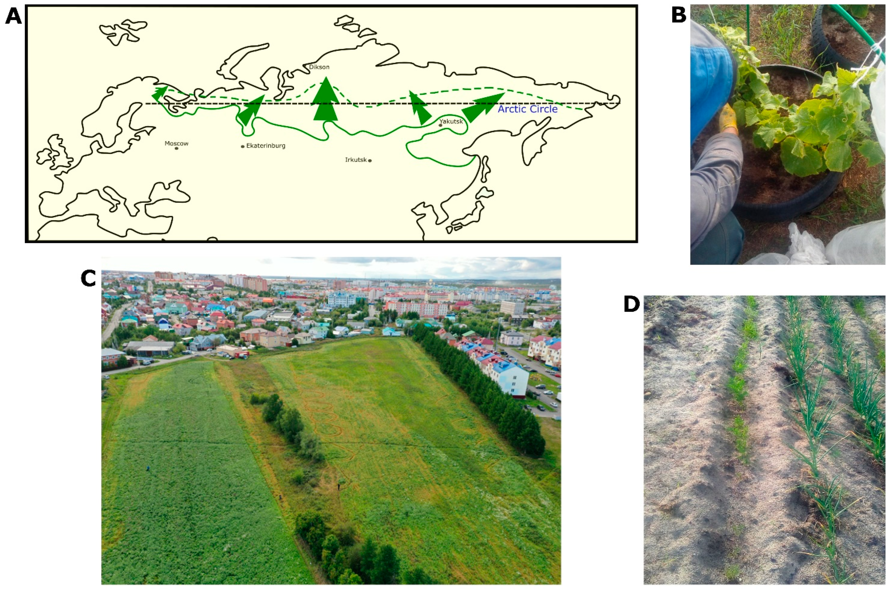 Insects 14 00557 g001