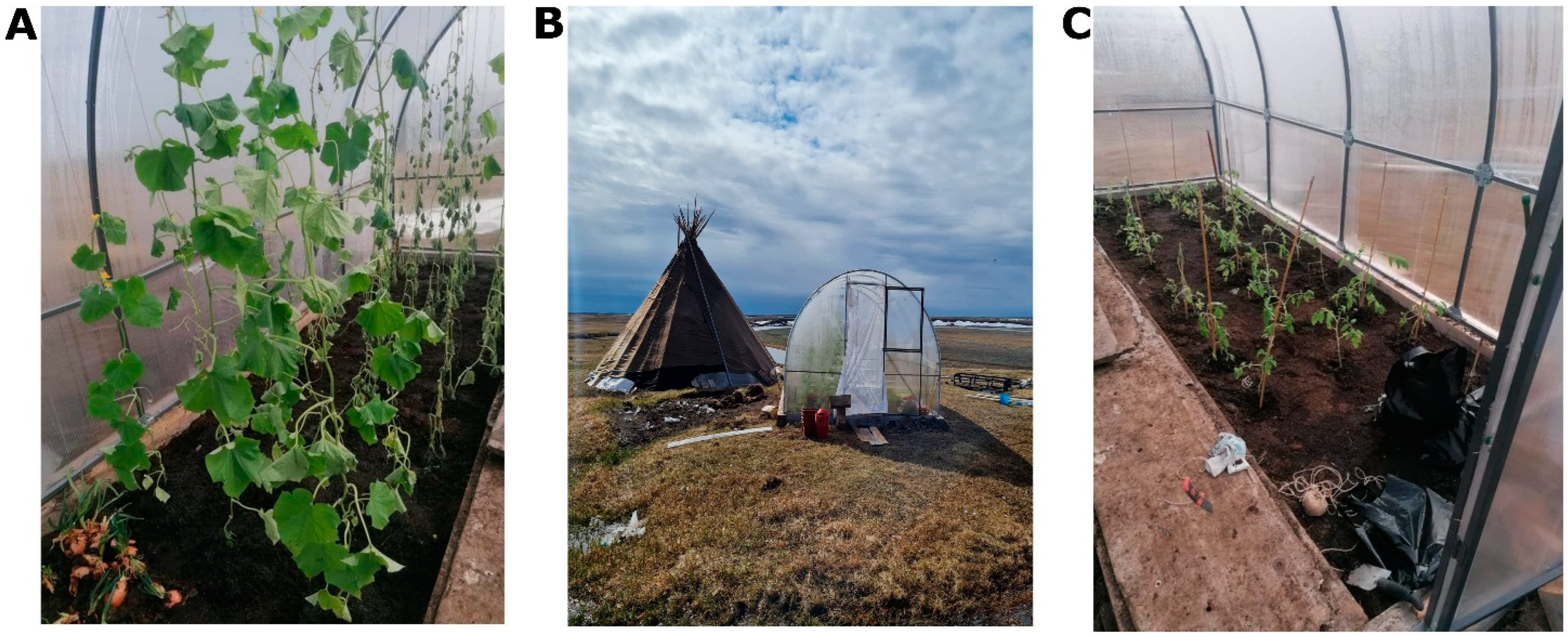 Insects 14 00557 g002