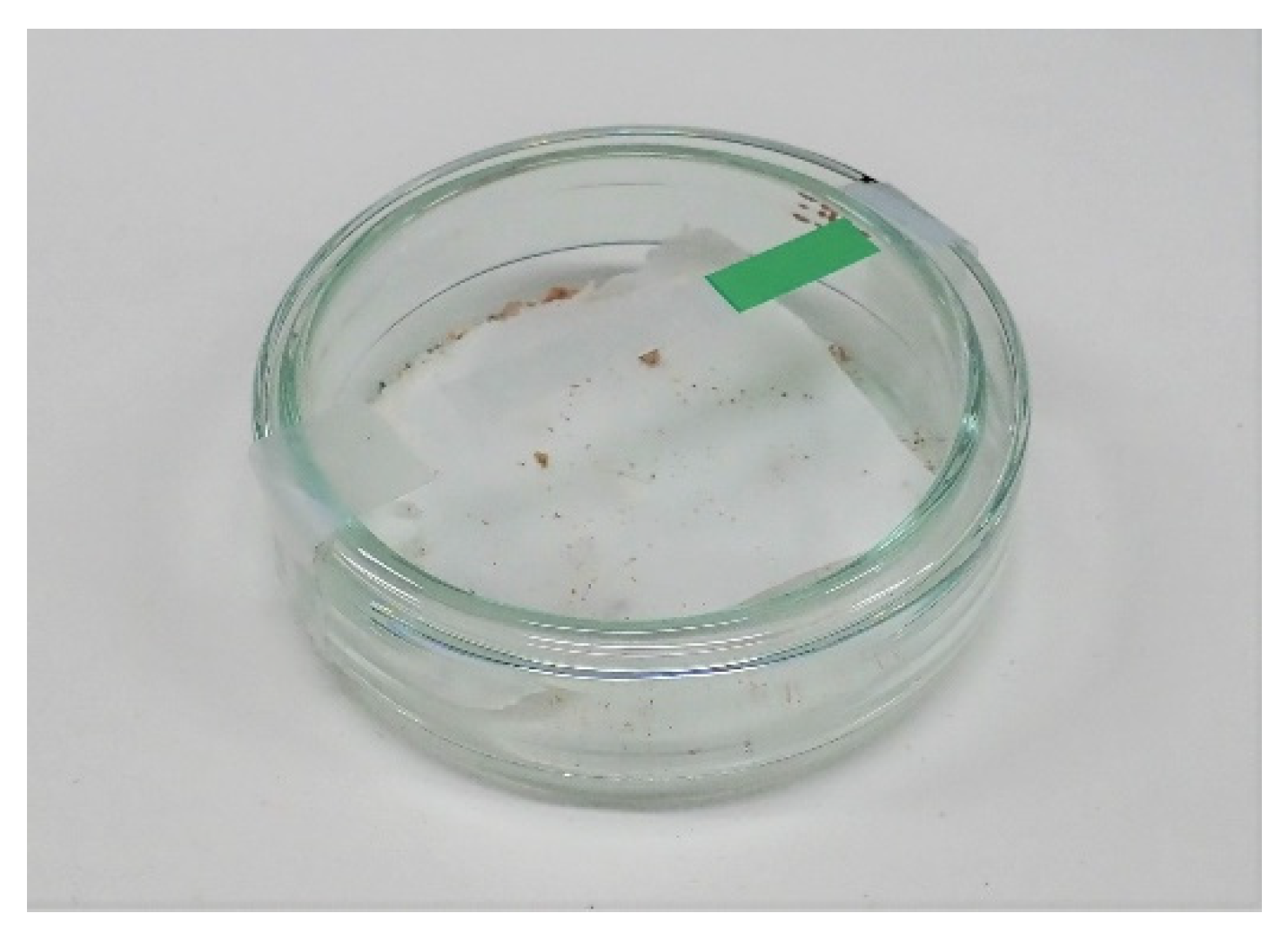 Insects 14 00563 g002 Insects 14 00563 g002