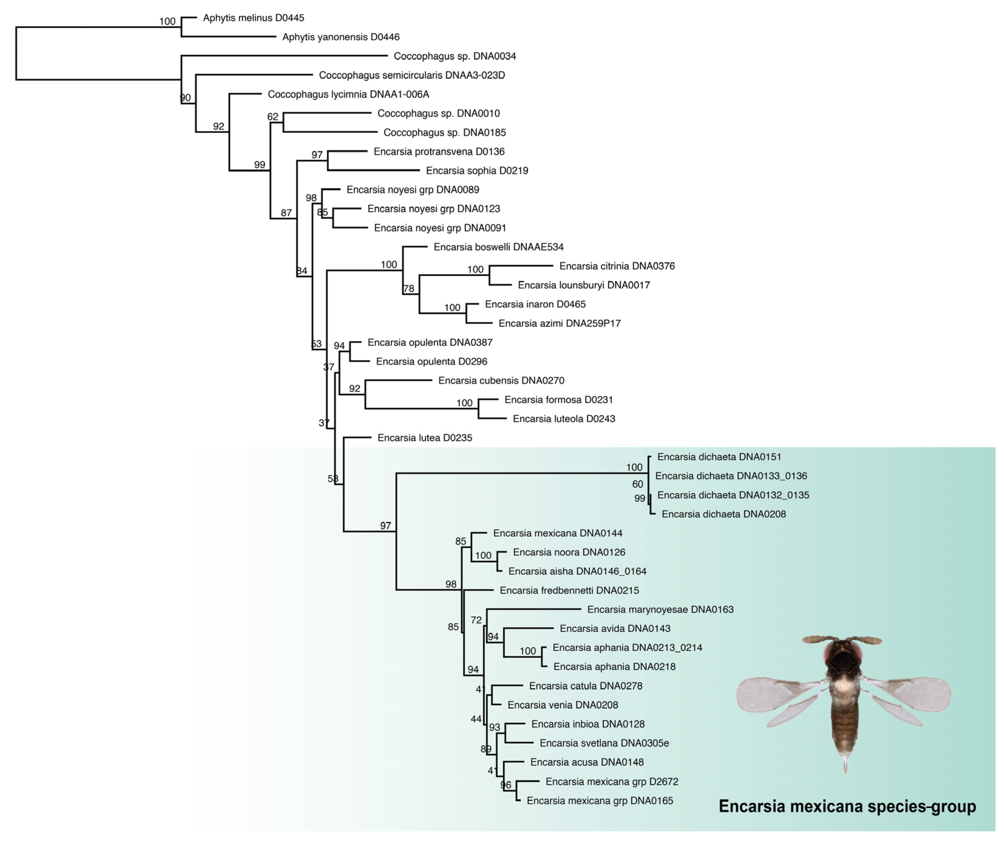 Insects 14 00570 g002