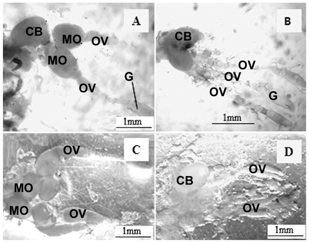 Insects 14 00571 g001 Insects 14 00571 g001