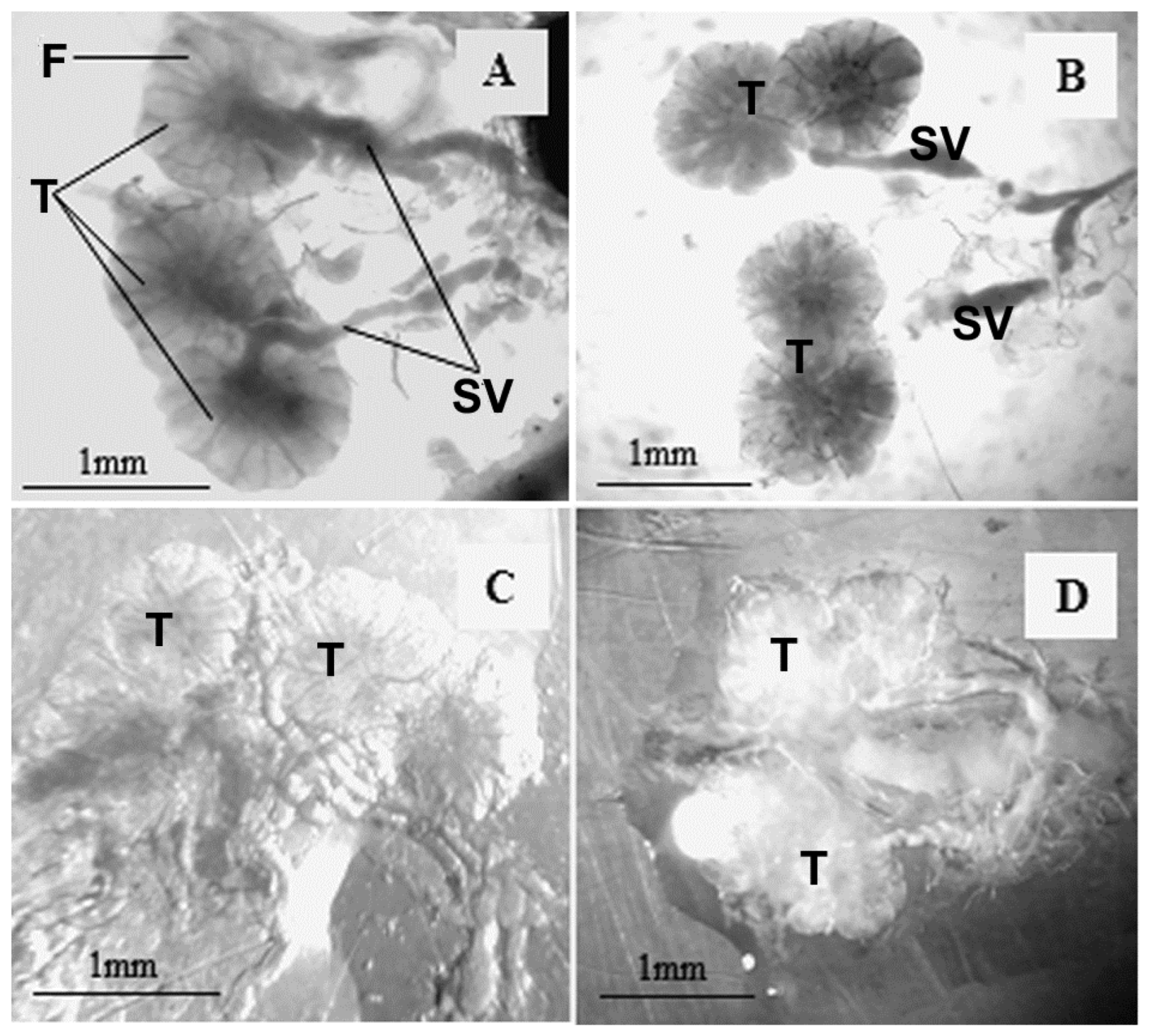 Insects 14 00571 g002 Insects 14 00571 g002