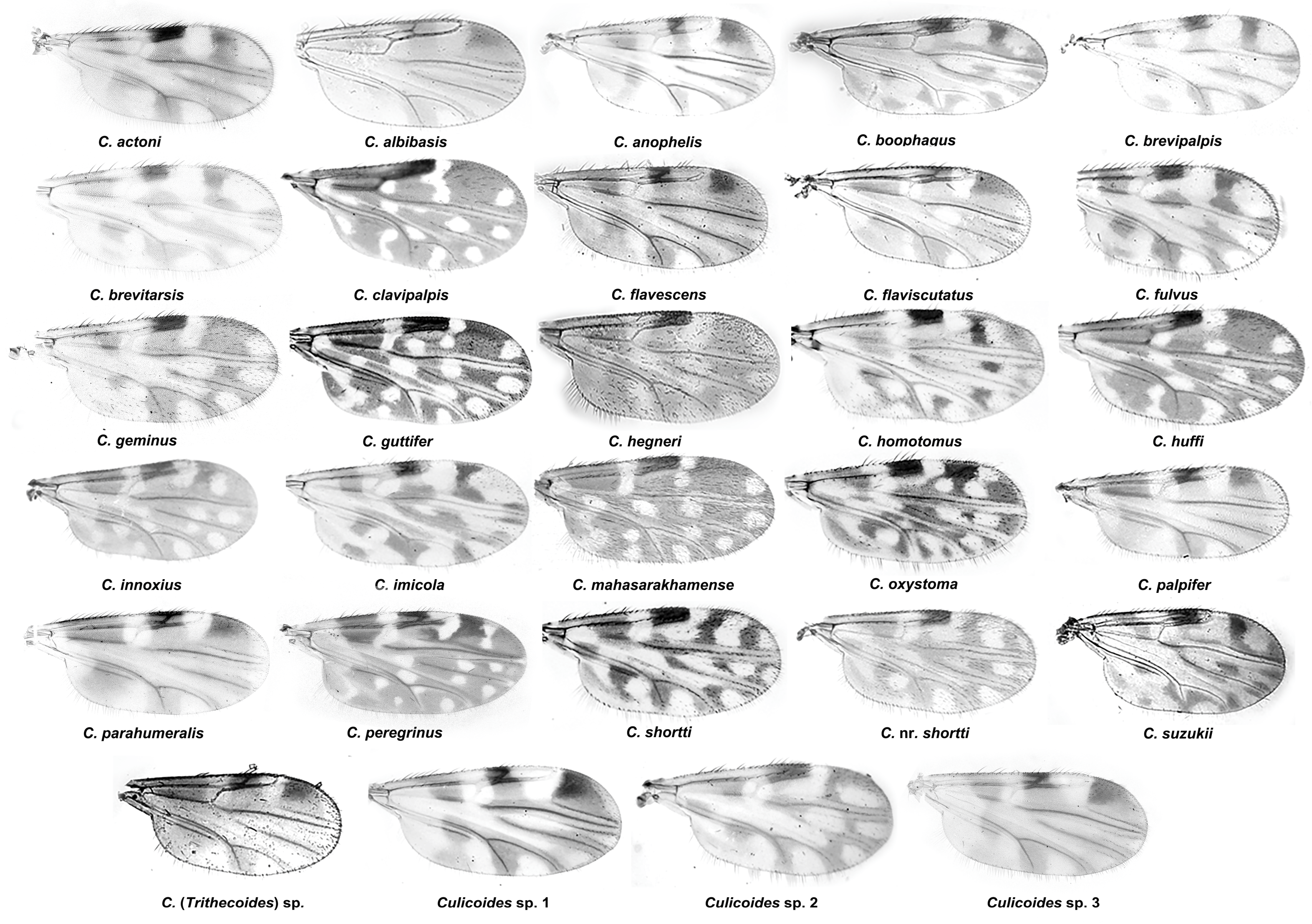 Insects 14 00574 g002