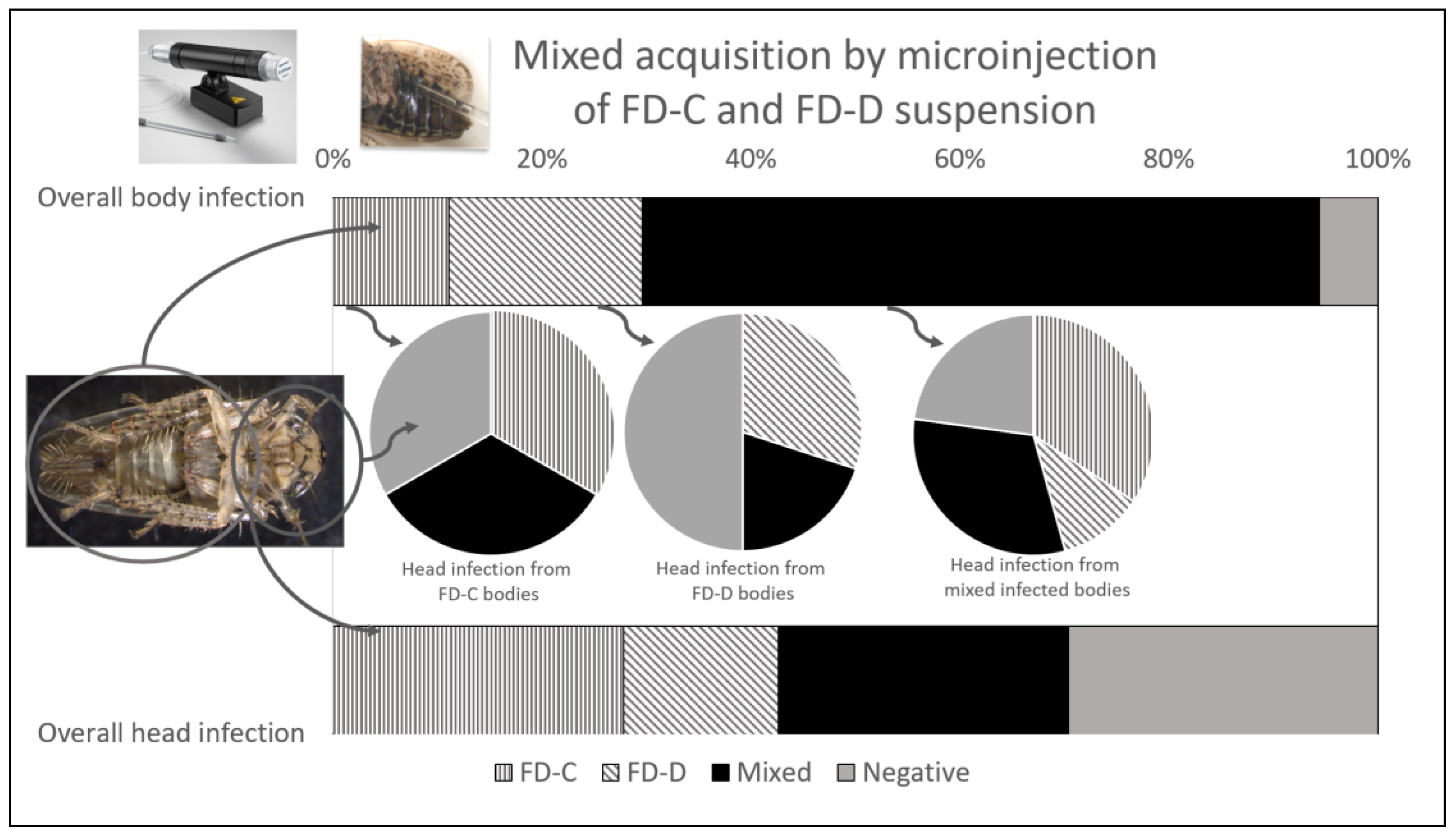 Insects 14 00575 g002