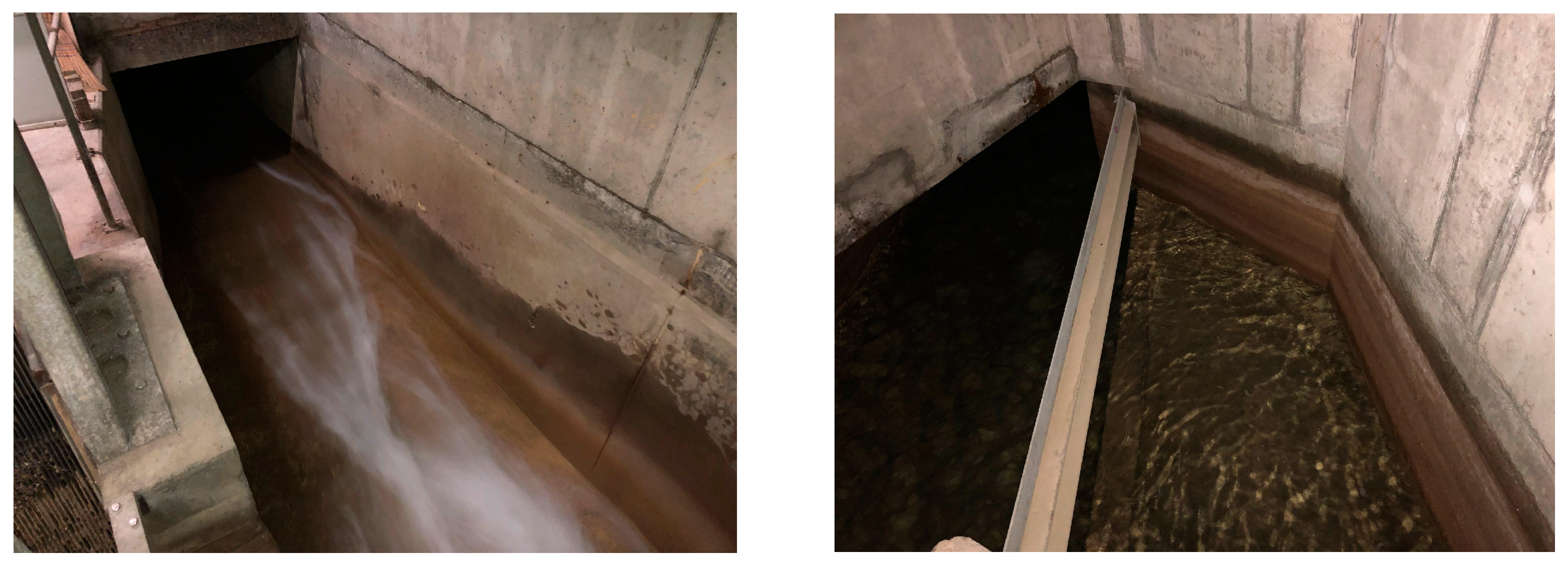 Insects 14 00578 g009