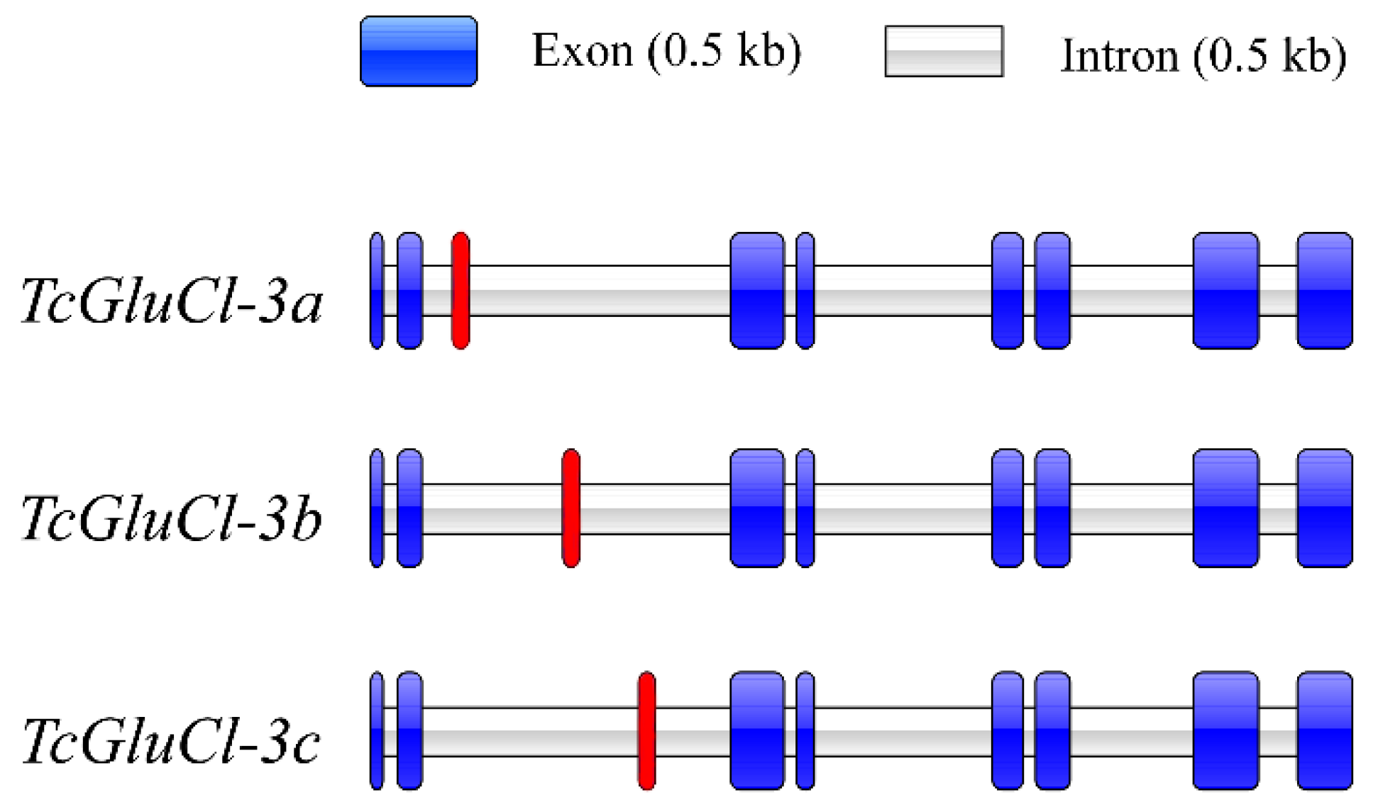 Insects 14 00580 g002