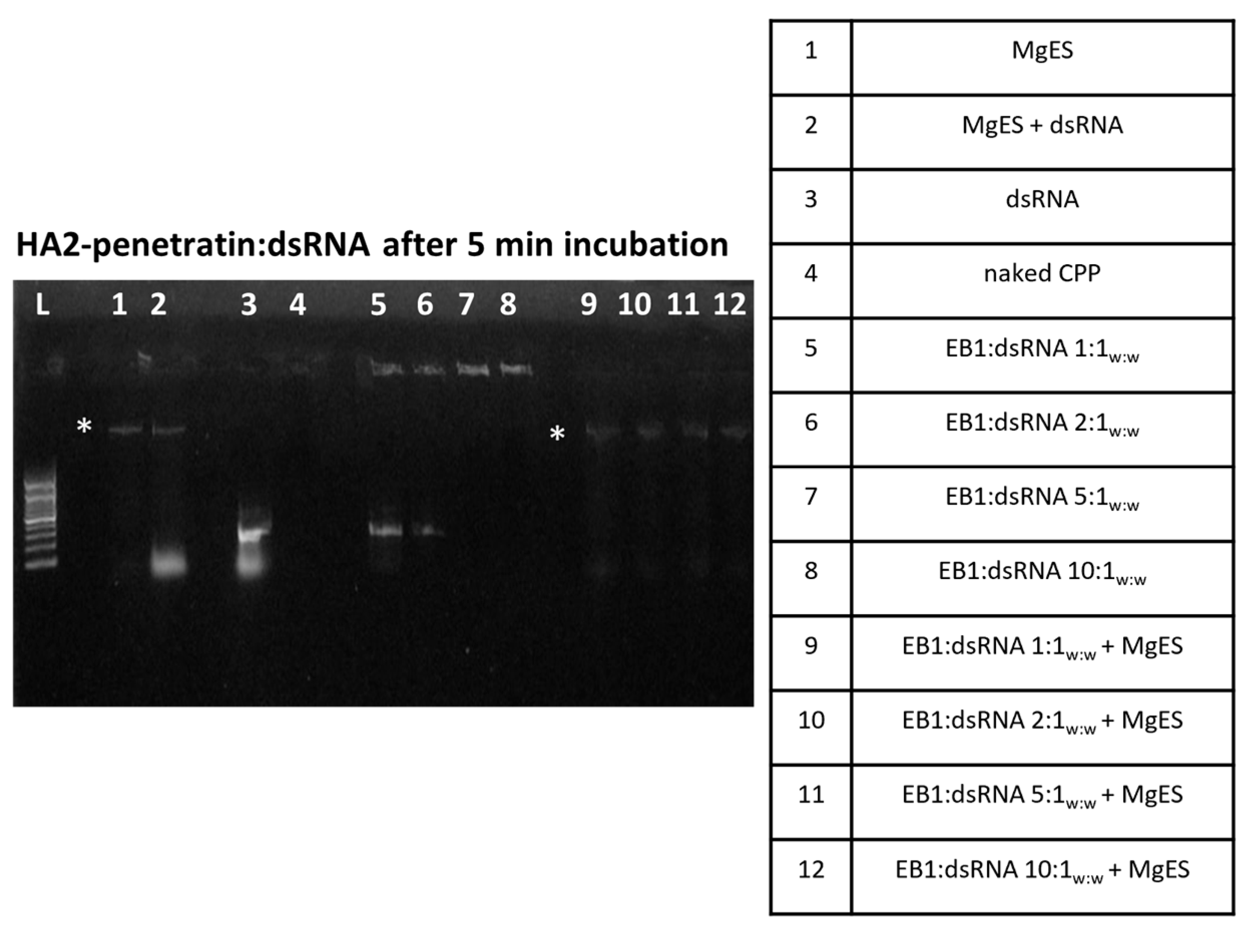 Insects 14 00597 g004 Insects 14 00597 g004