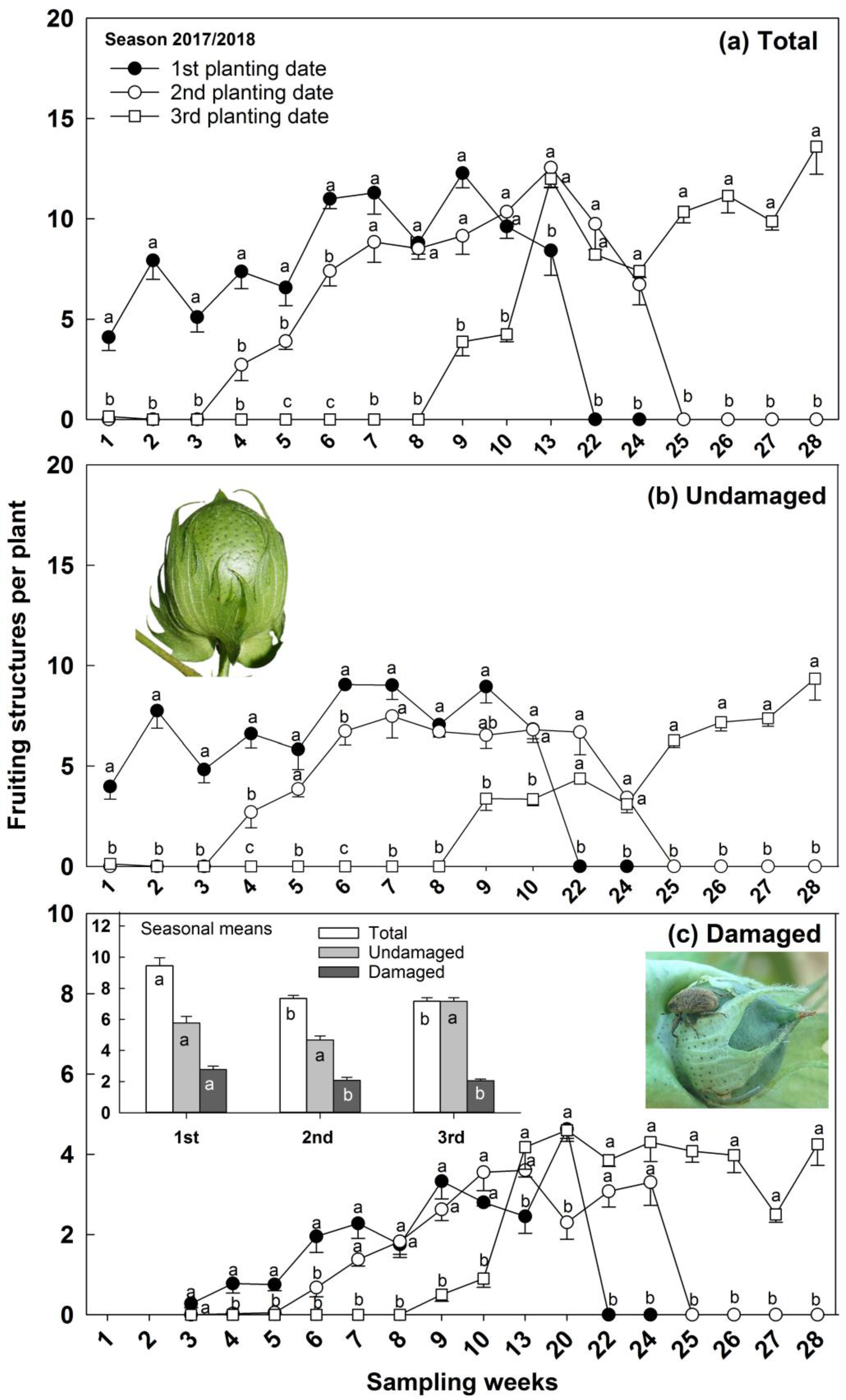 Insects 14 00599 g005