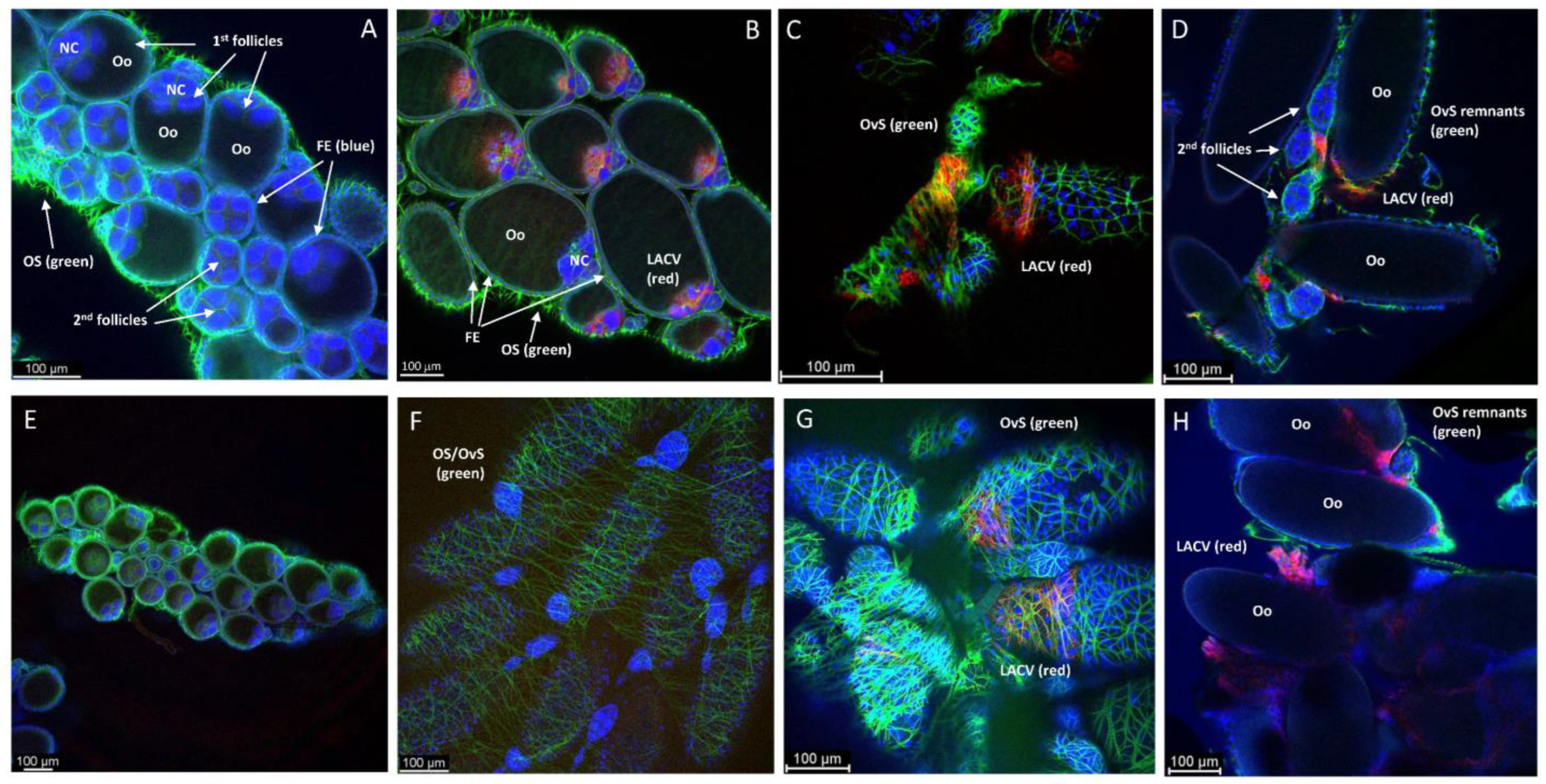 Insects 14 00601 g002 Insects 14 00601 g002