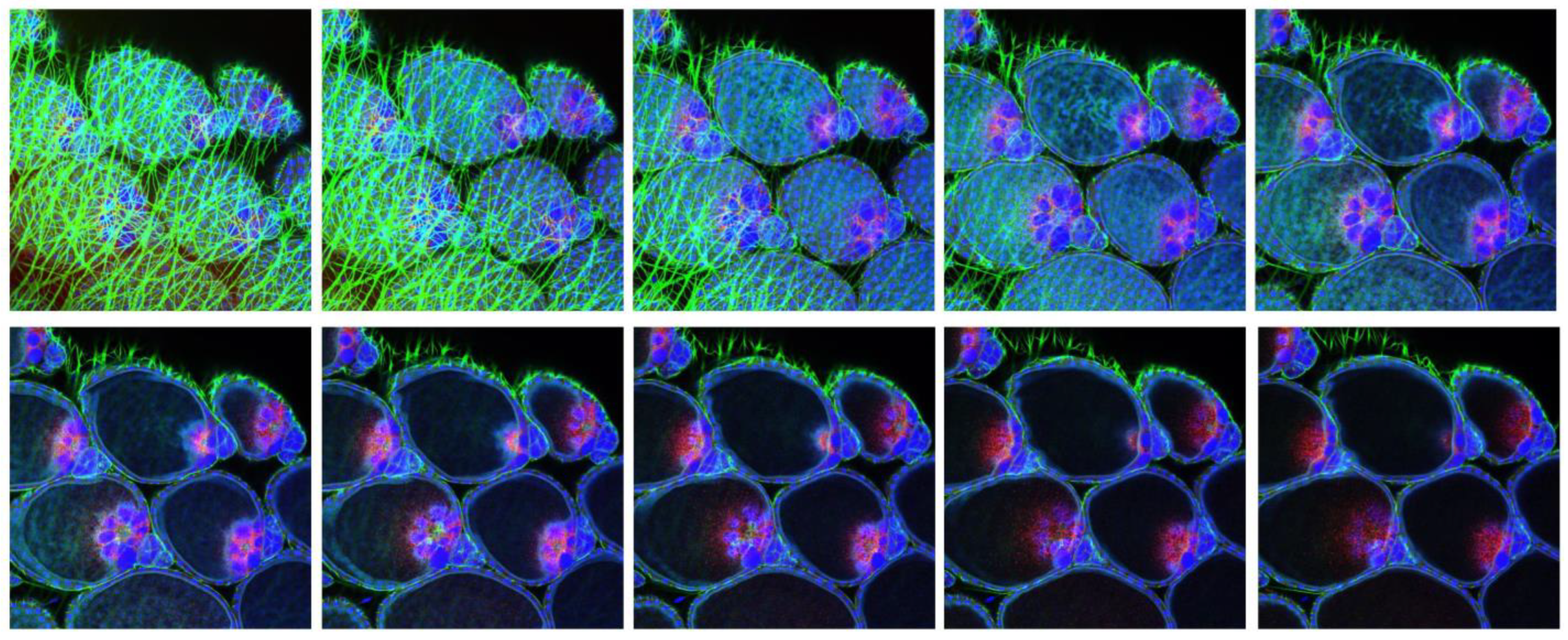 Insects 14 00601 g003 Insects 14 00601 g003