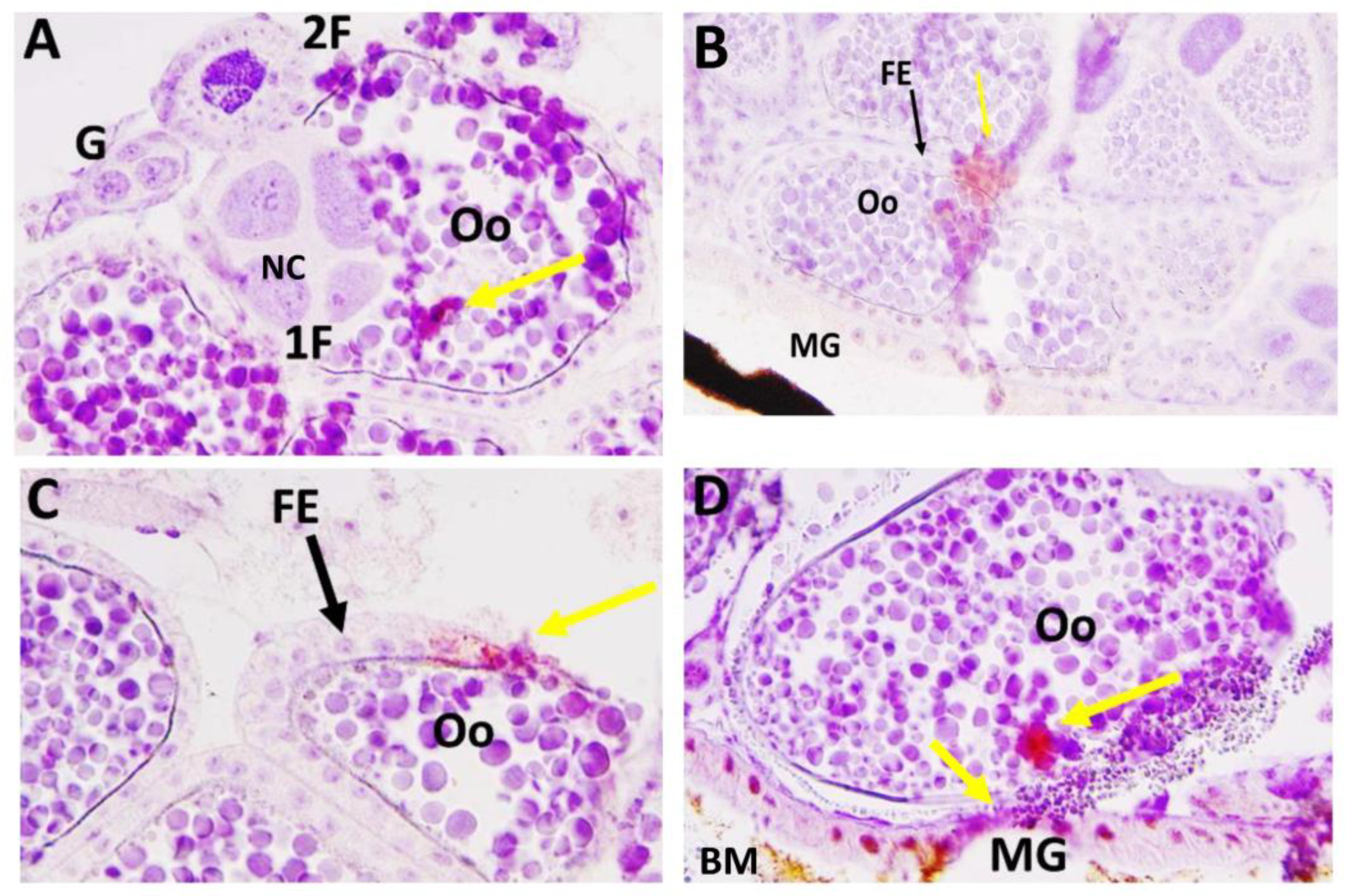 Insects 14 00601 g007 Insects 14 00601 g007