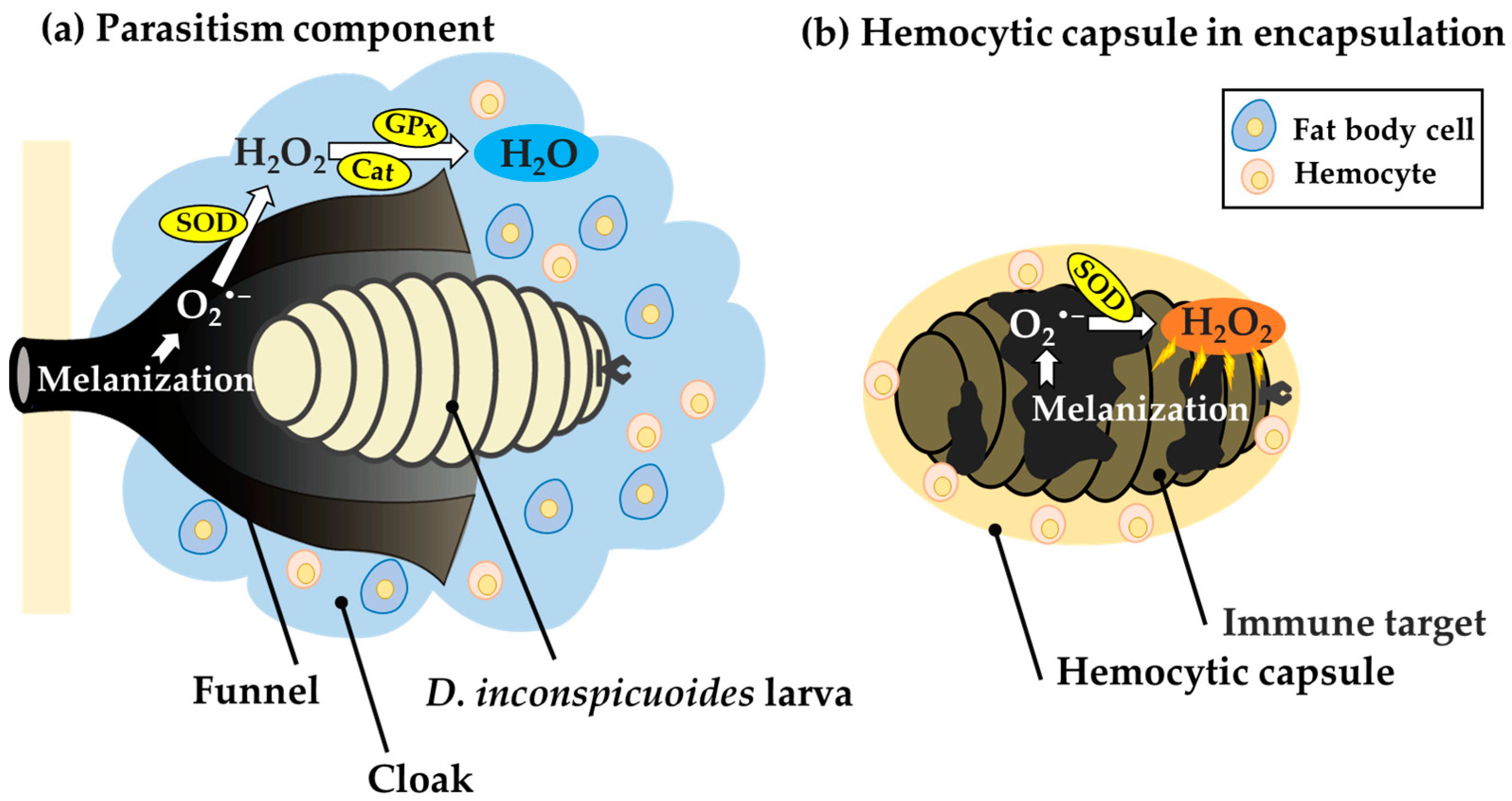Insects 14 00602 g005 Insects 14 00602 g005