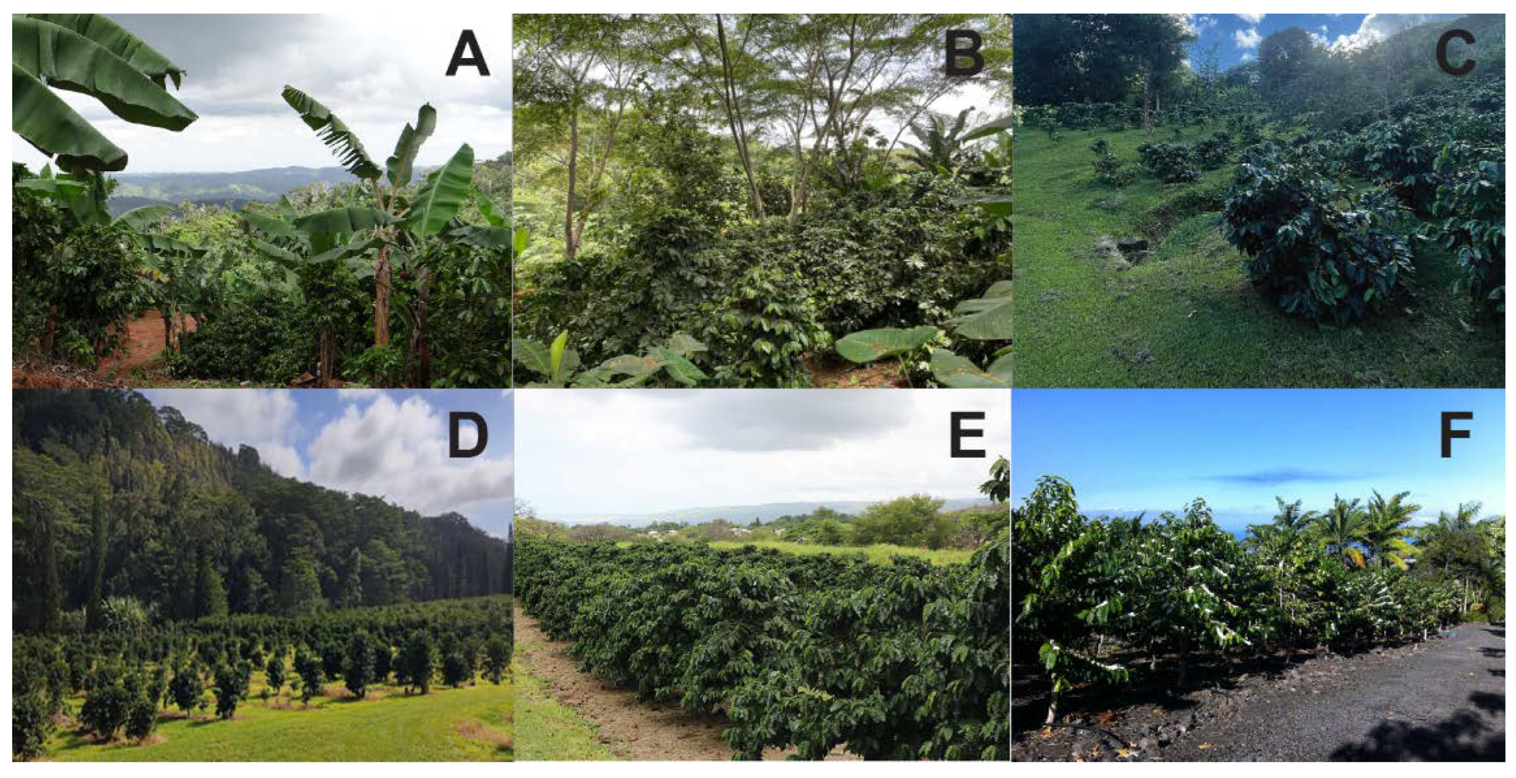 Insects 14 00603 g001