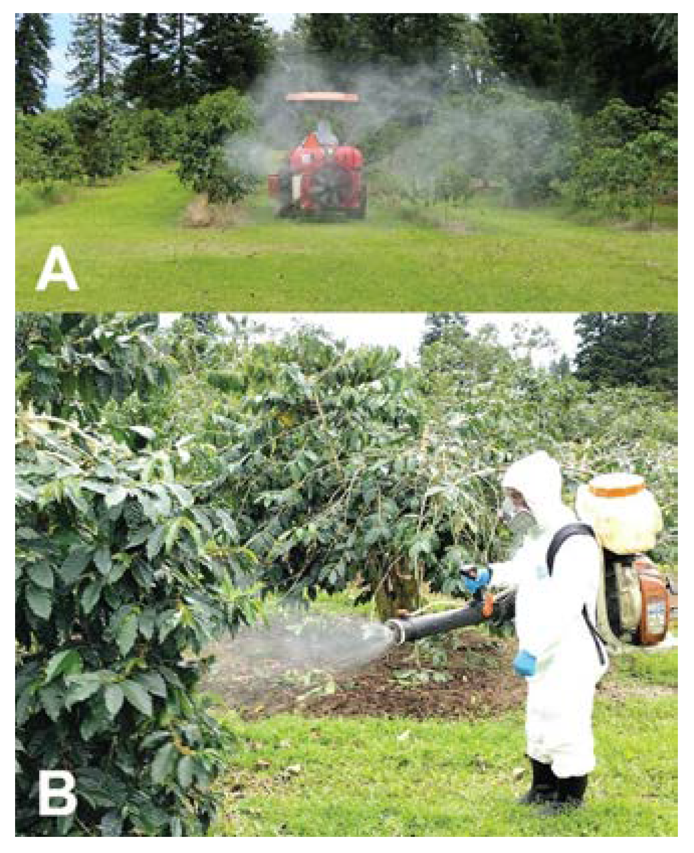 Insects 14 00603 g010