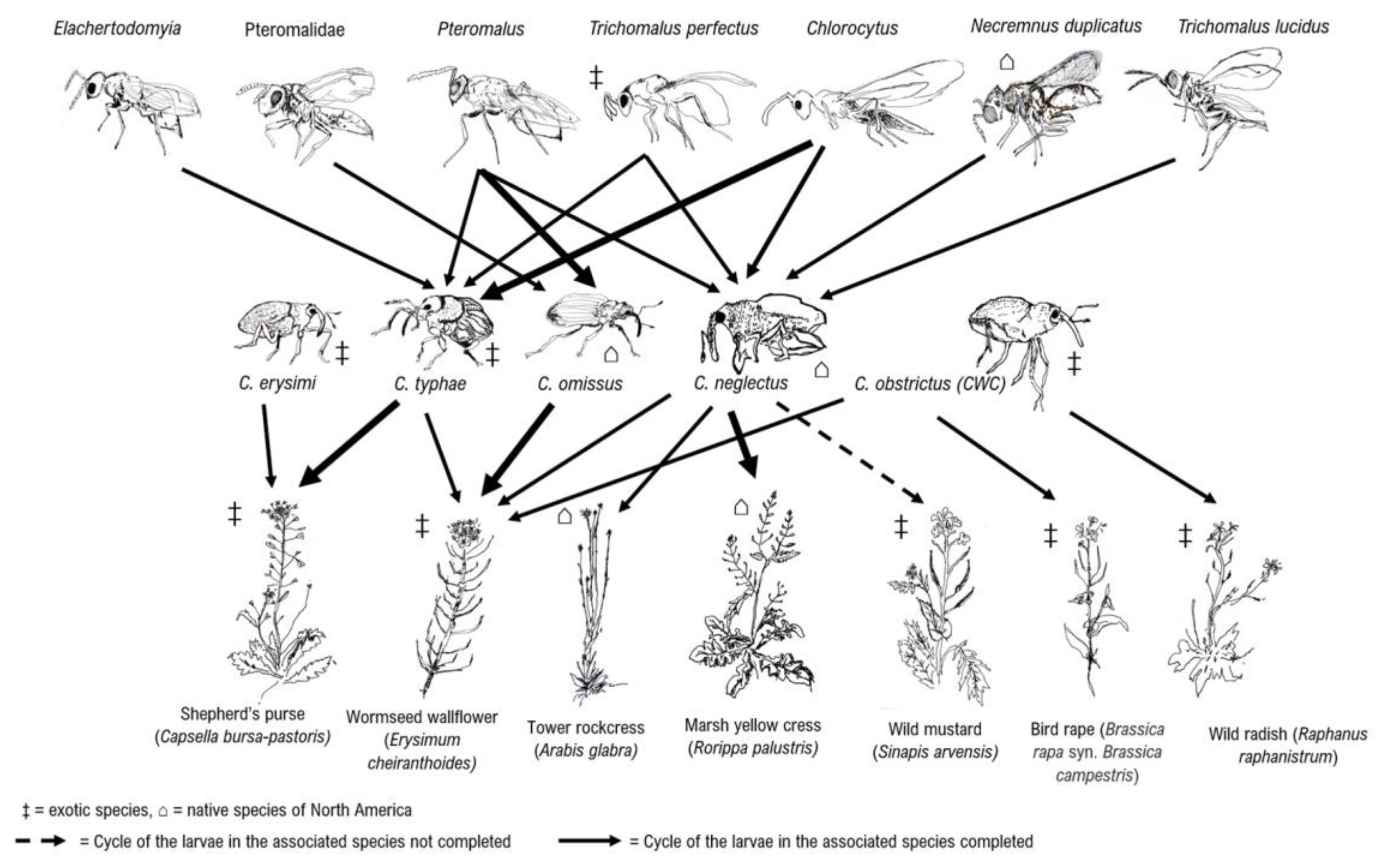 Insects 14 00607 g004