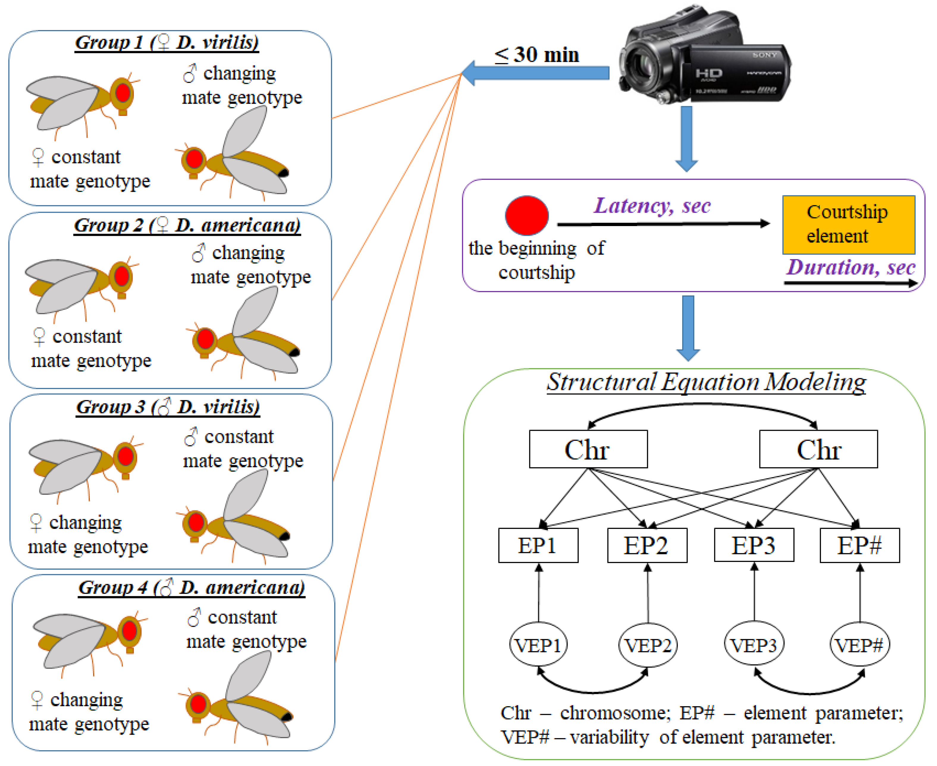 Insects 14 00609 g001