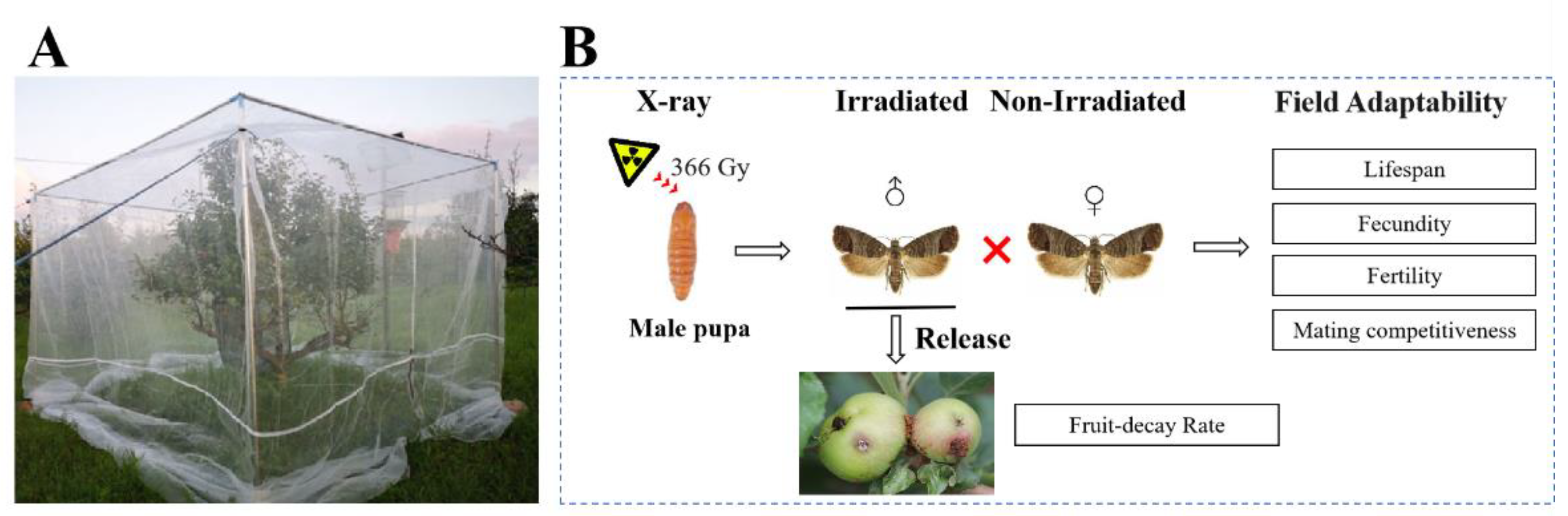 Insects 14 00615 g001 Insects 14 00615 g001
