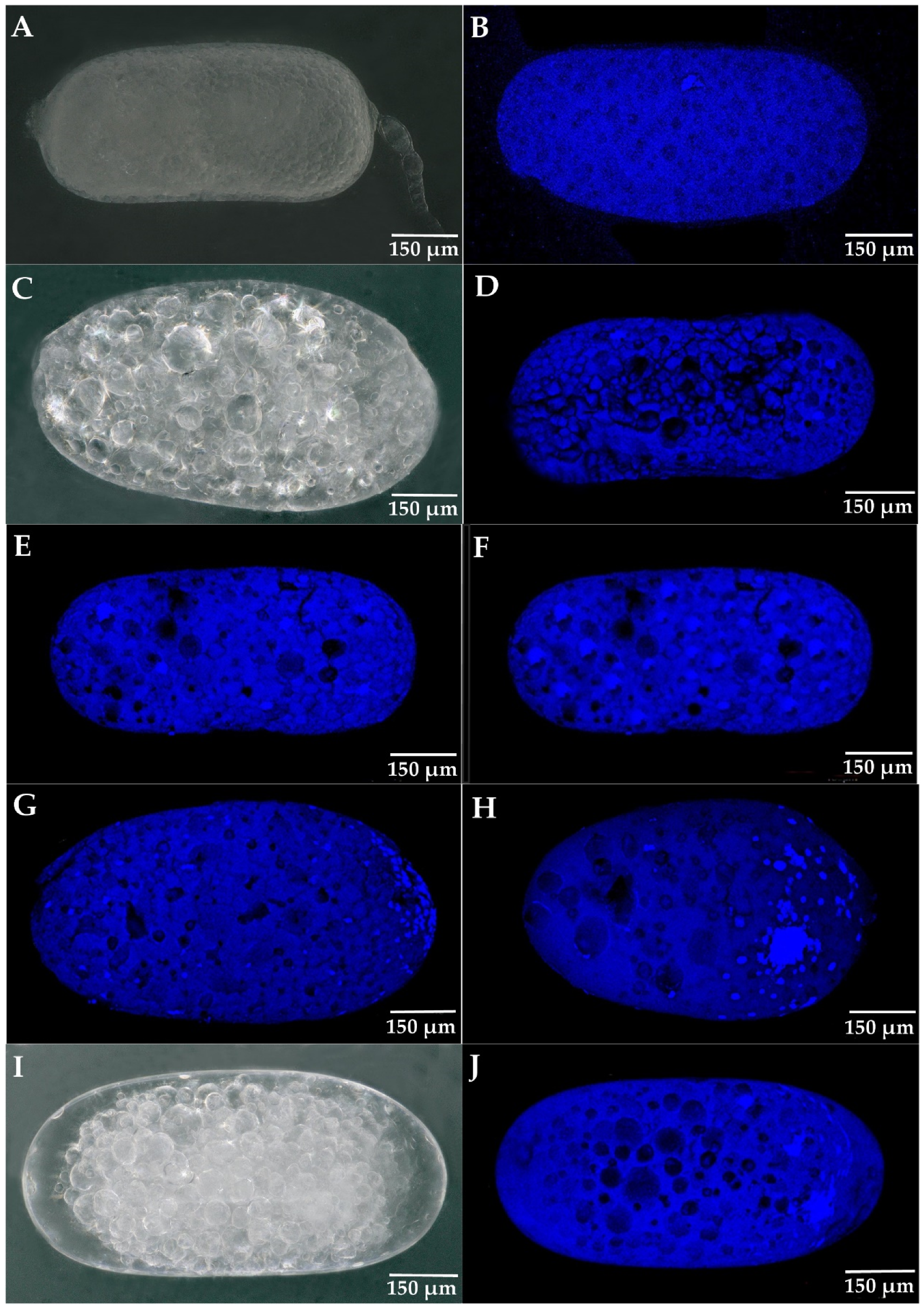 Insects 14 00640 g006