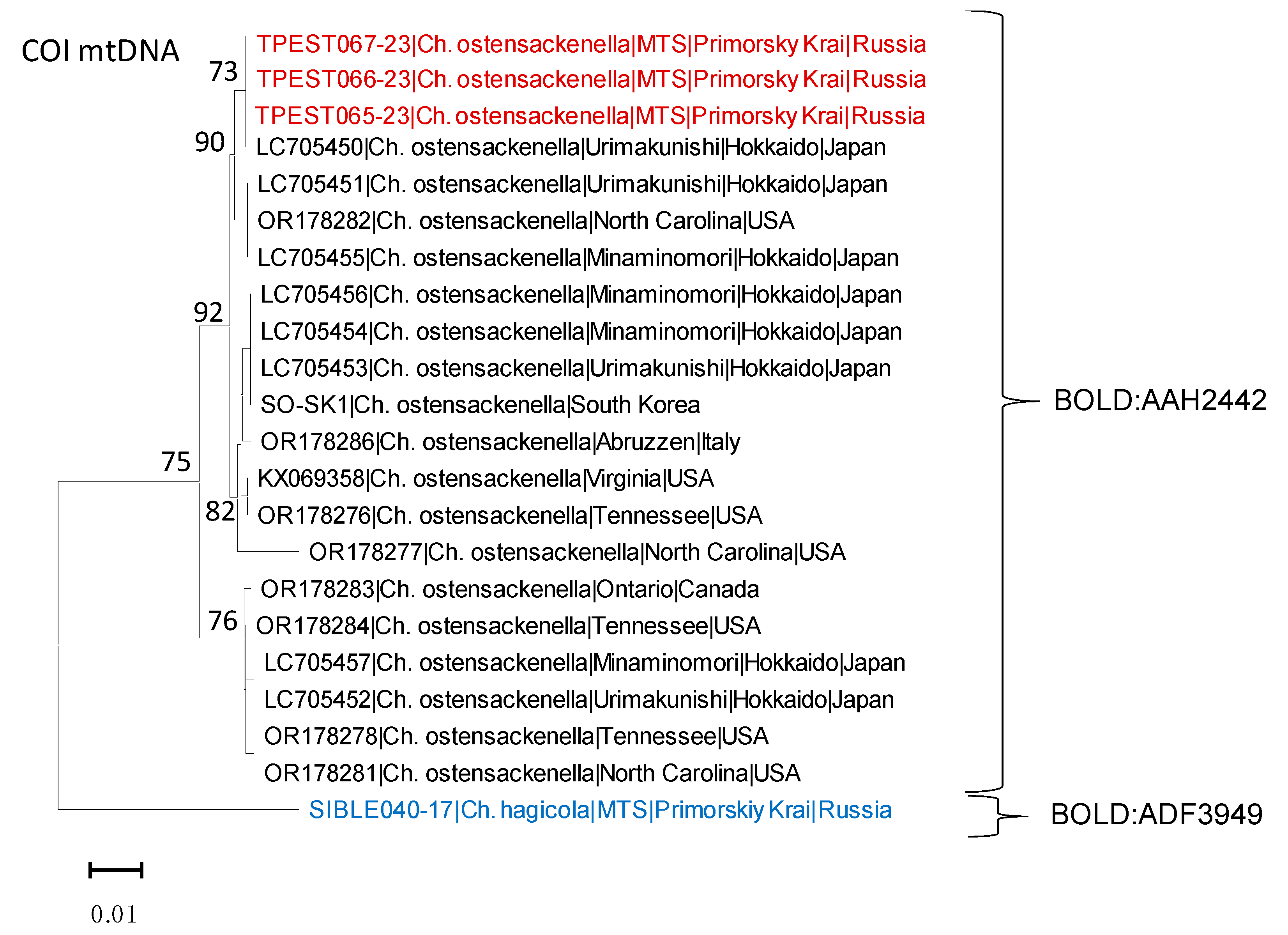 Insects 14 00642 g005 Insects 14 00642 g005