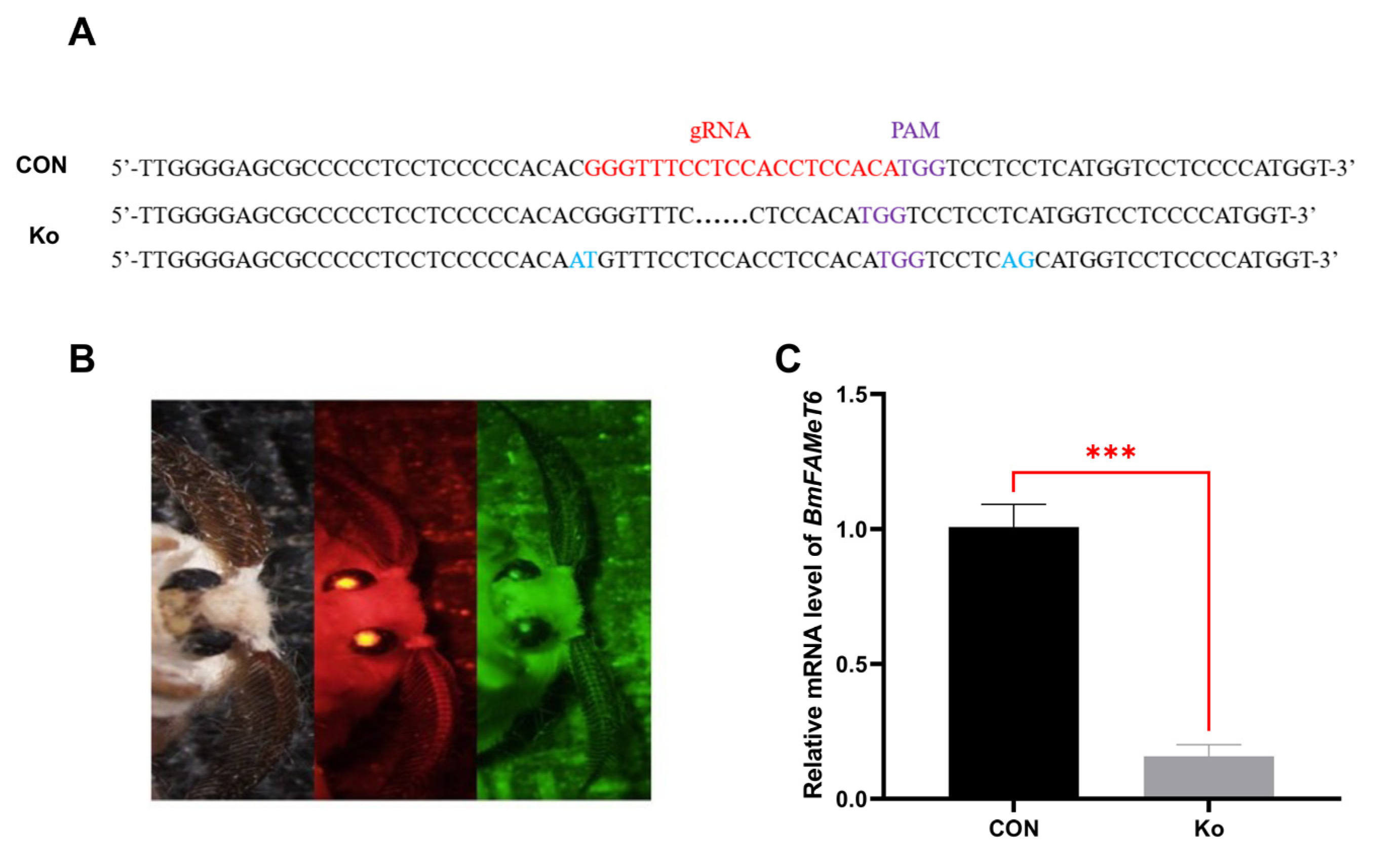 Insects 14 00644 g004 Insects 14 00644 g004