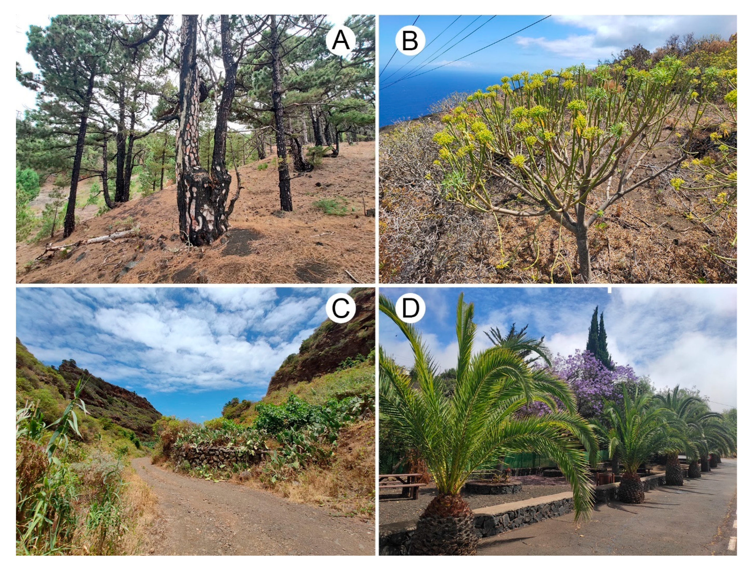 Insects 14 00655 g001 Insects 14 00655 g001