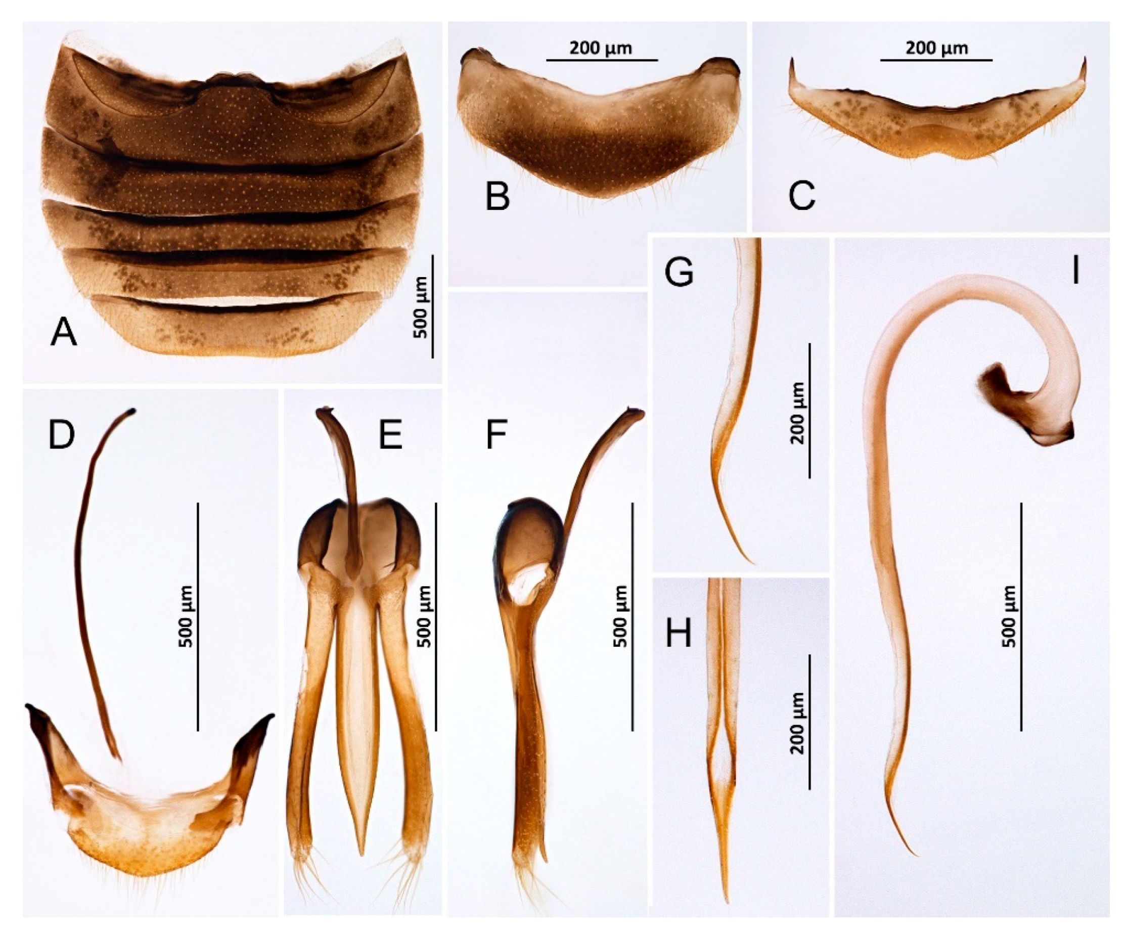Insects 14 00655 g002 Insects 14 00655 g002