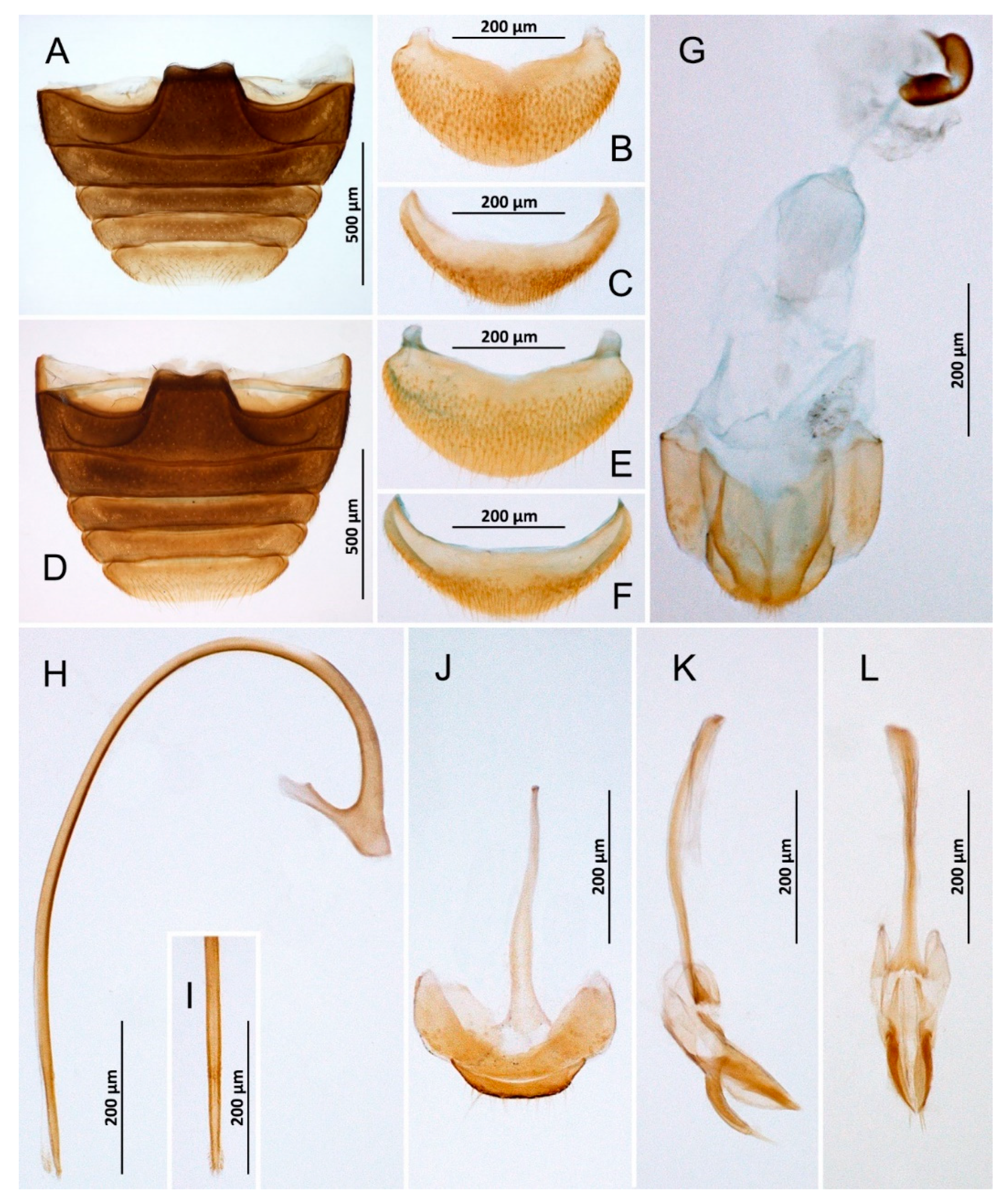 Insects 14 00655 g004 Insects 14 00655 g004