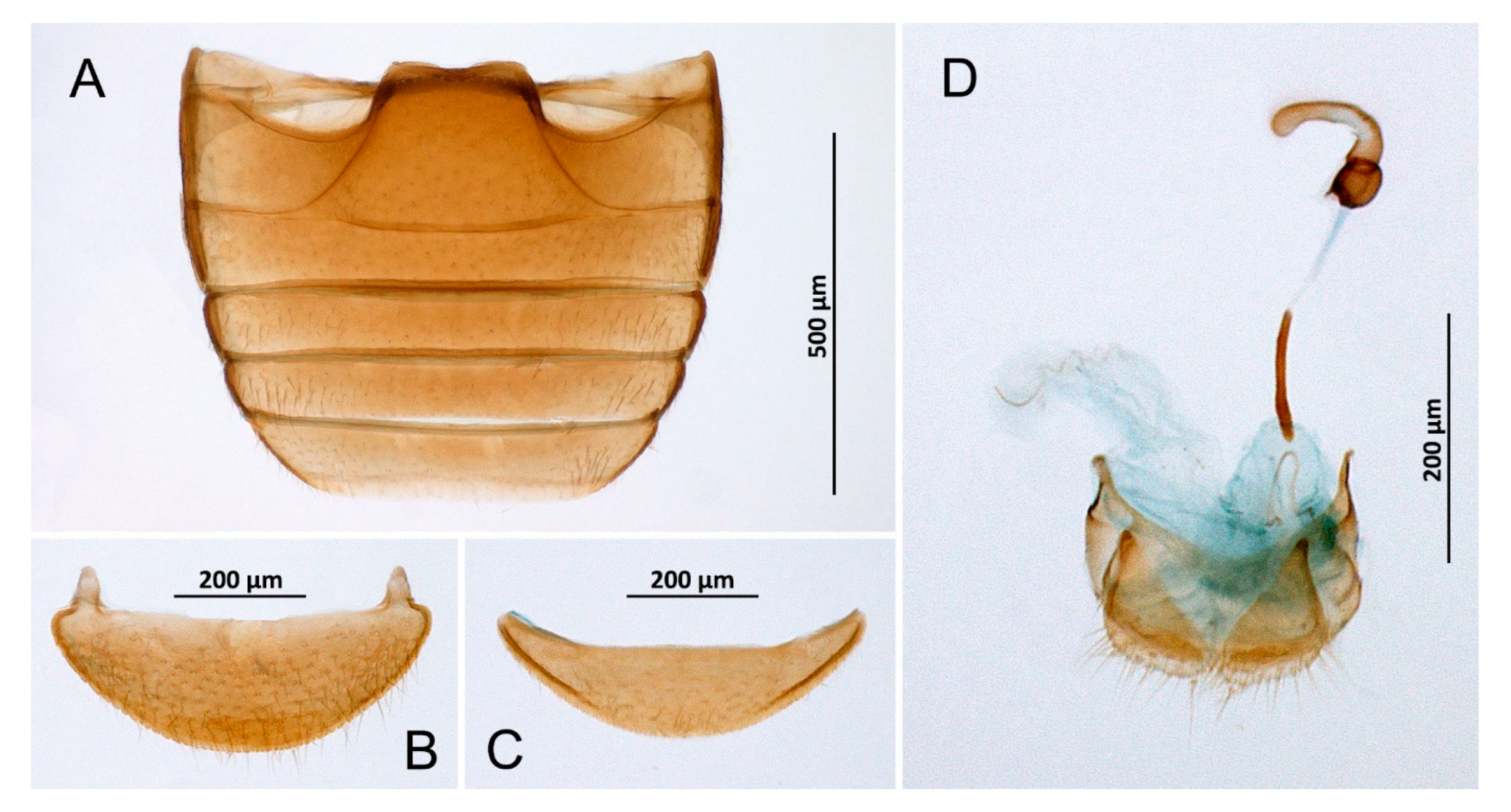 Insects 14 00655 g005 Insects 14 00655 g005