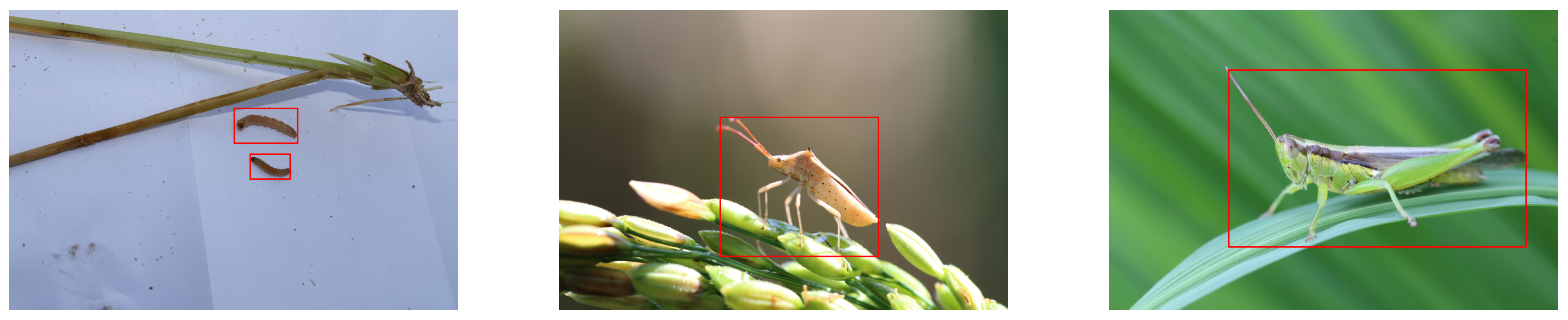 Insects 14 00660 g007 550