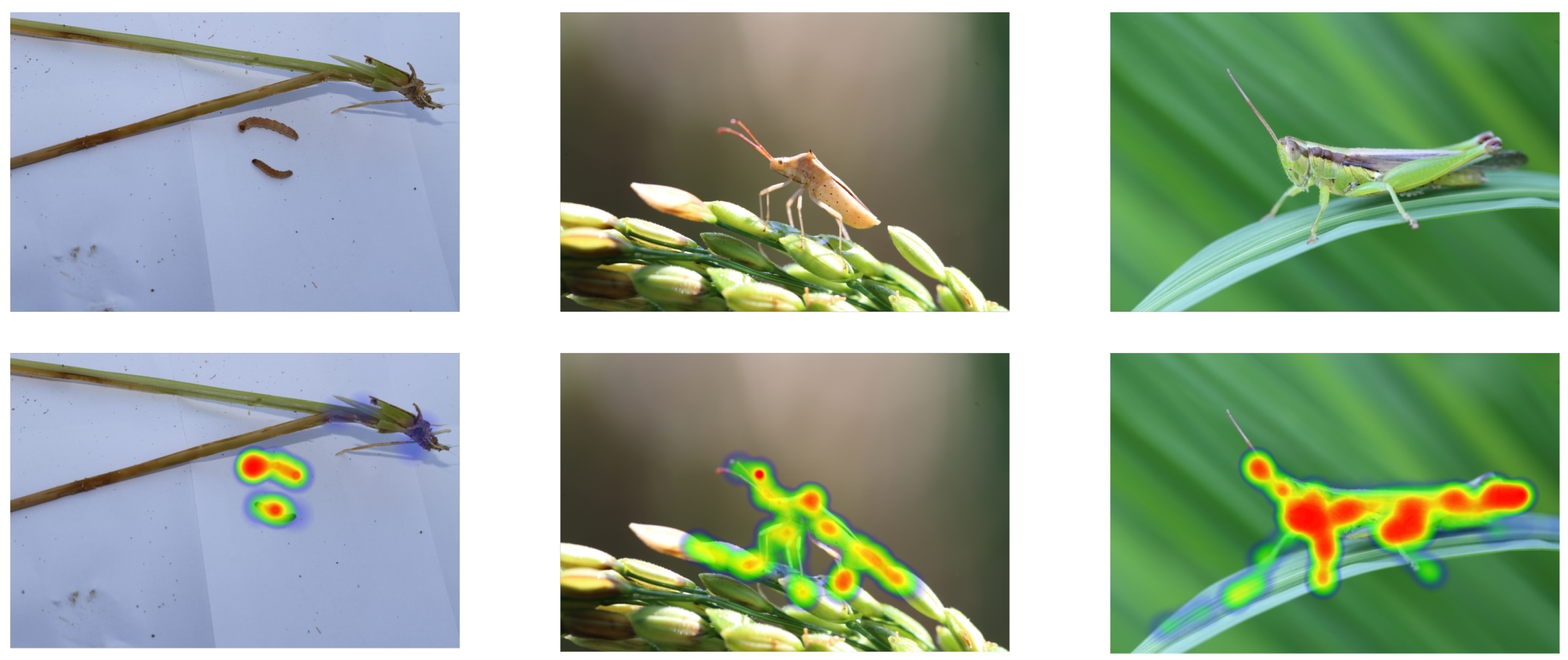 Insects 14 00660 g008 550