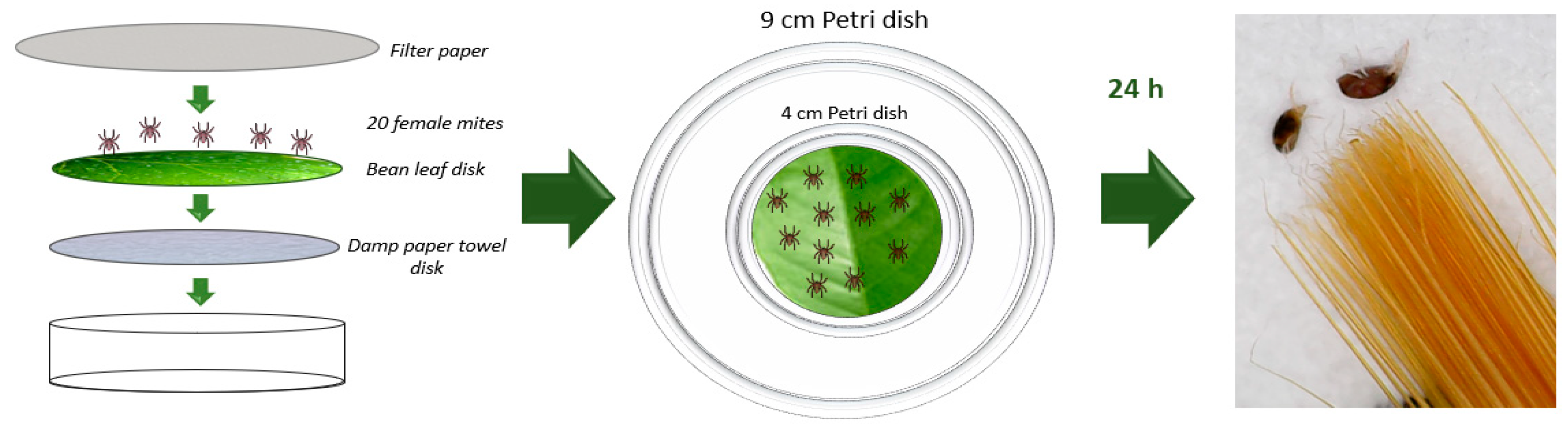 Insects 14 00663 g001