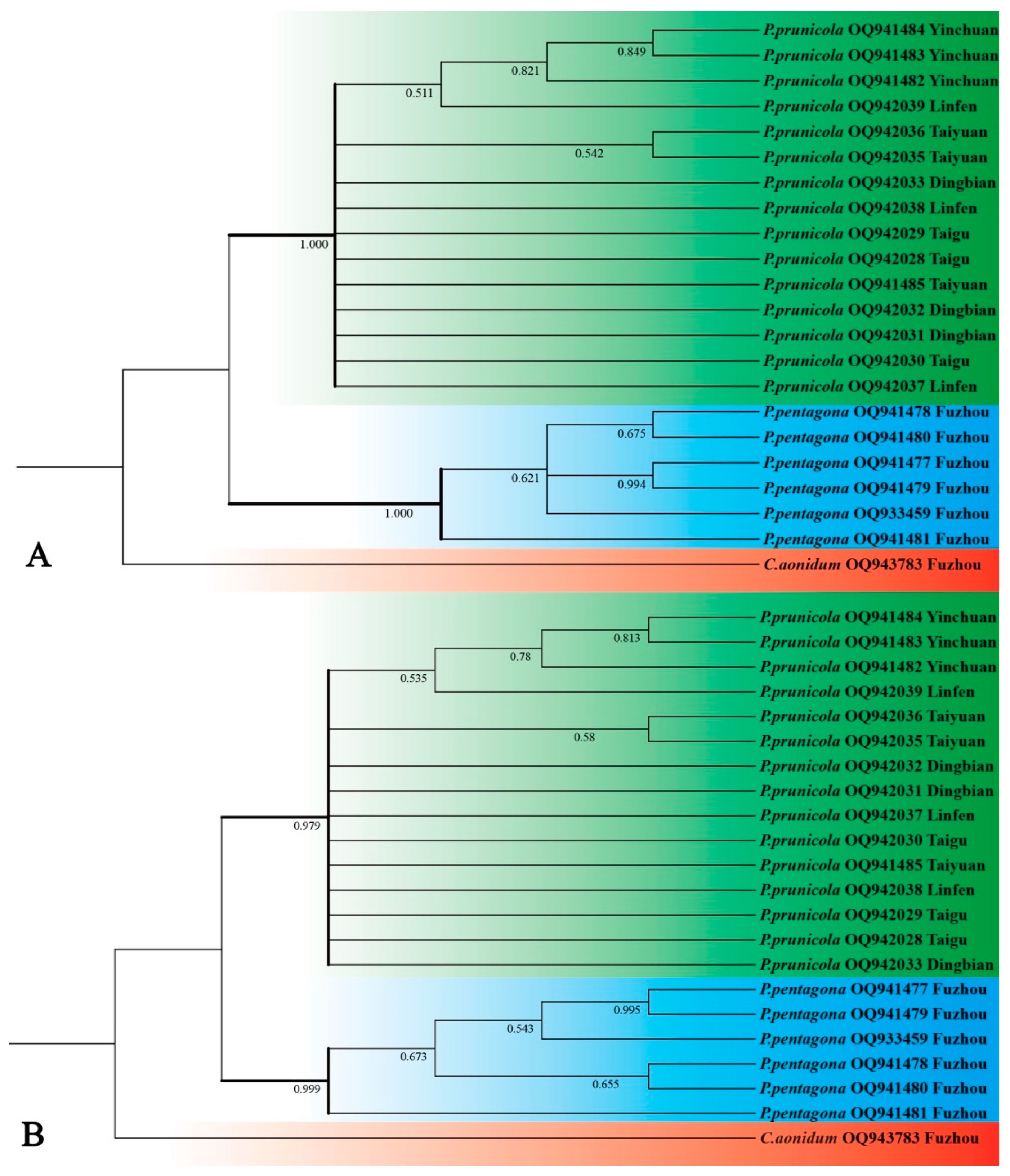 Insects 14 00666 g002