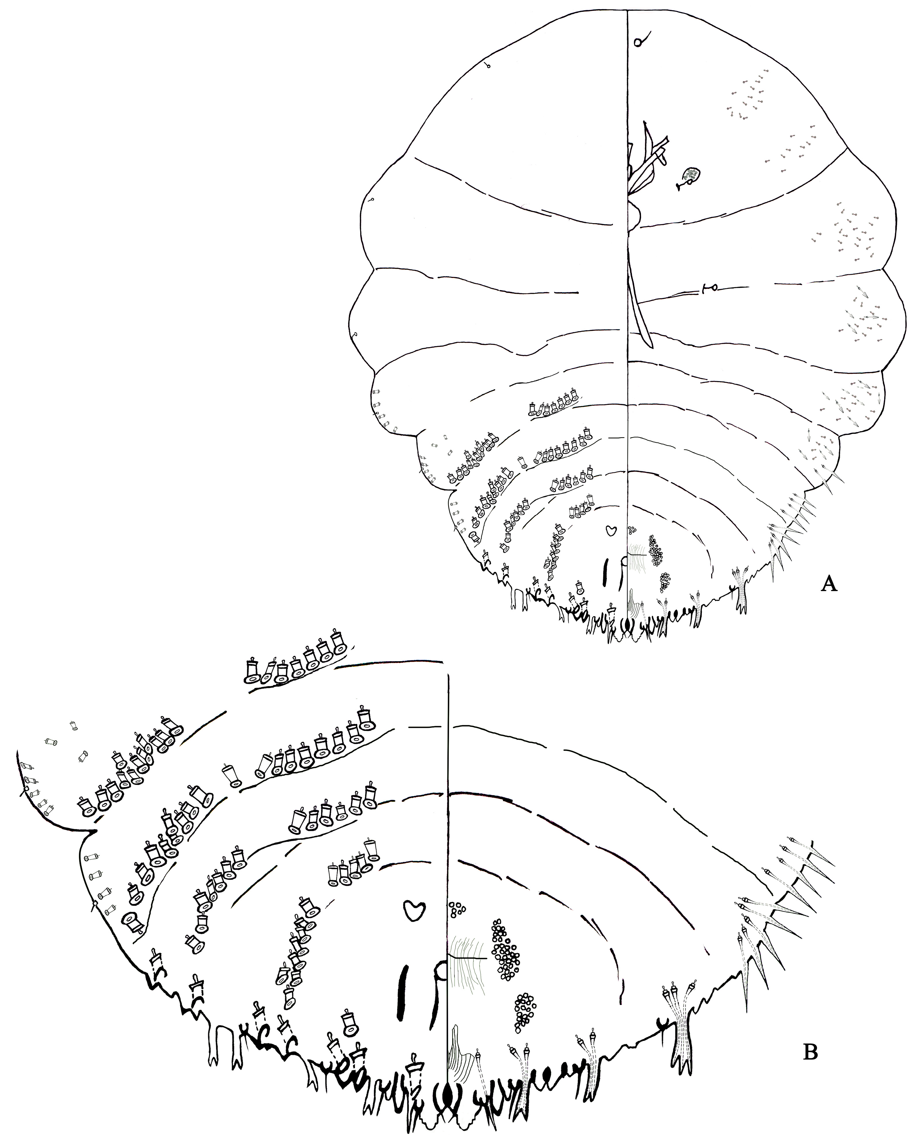 Insects 14 00666 g005