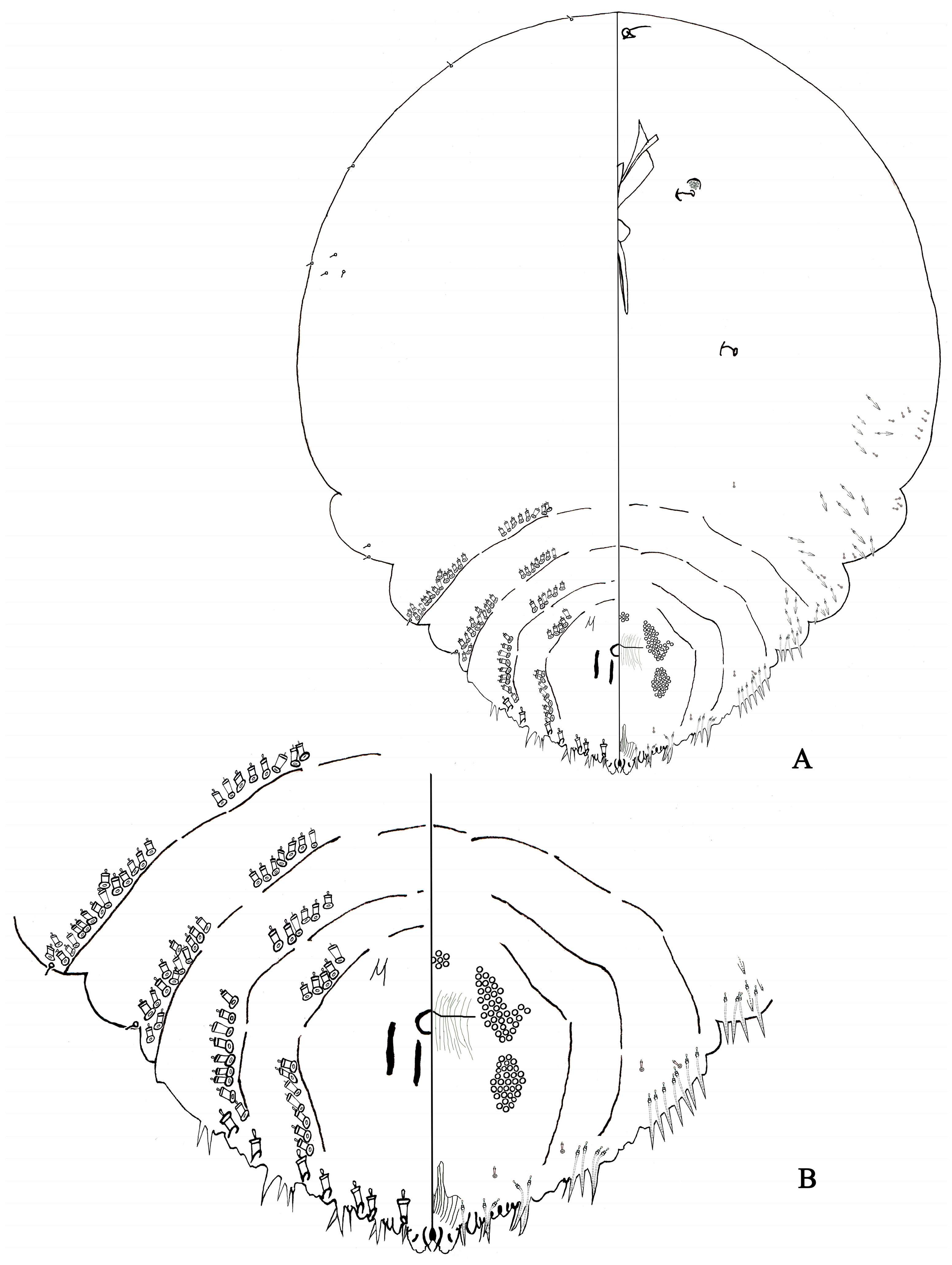 Insects 14 00666 g006