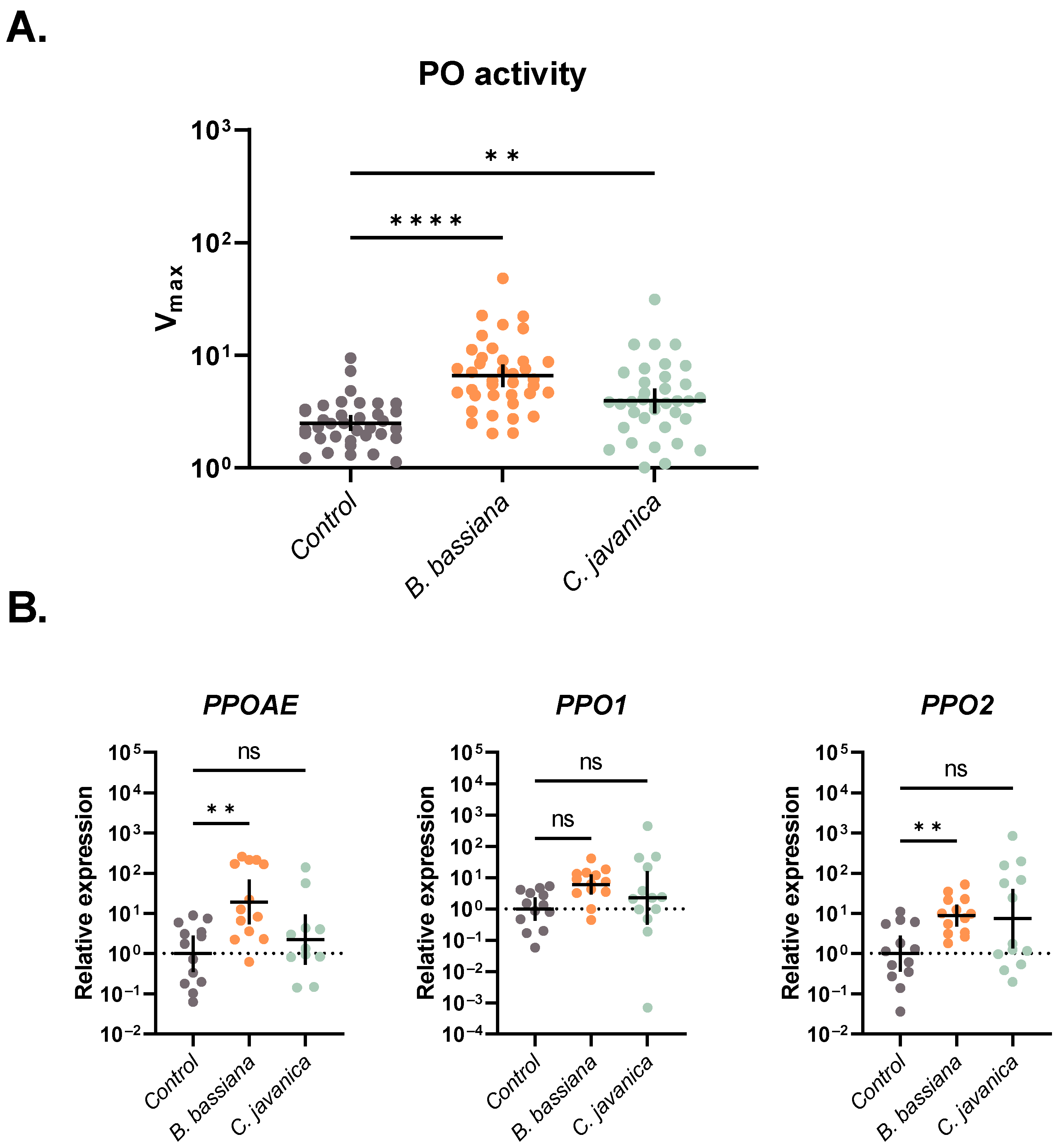 Insects 14 00667 g002