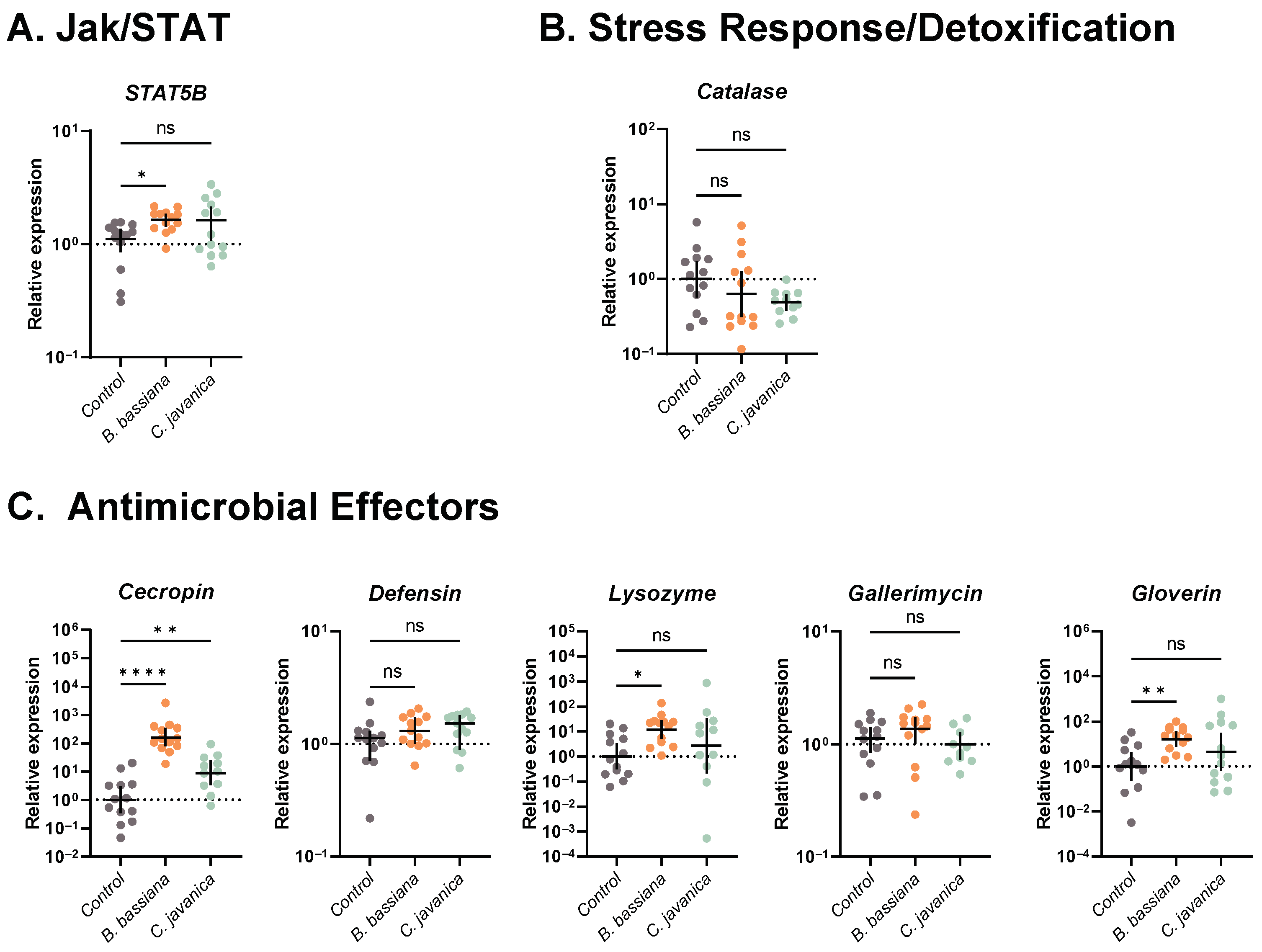 Insects 14 00667 g004