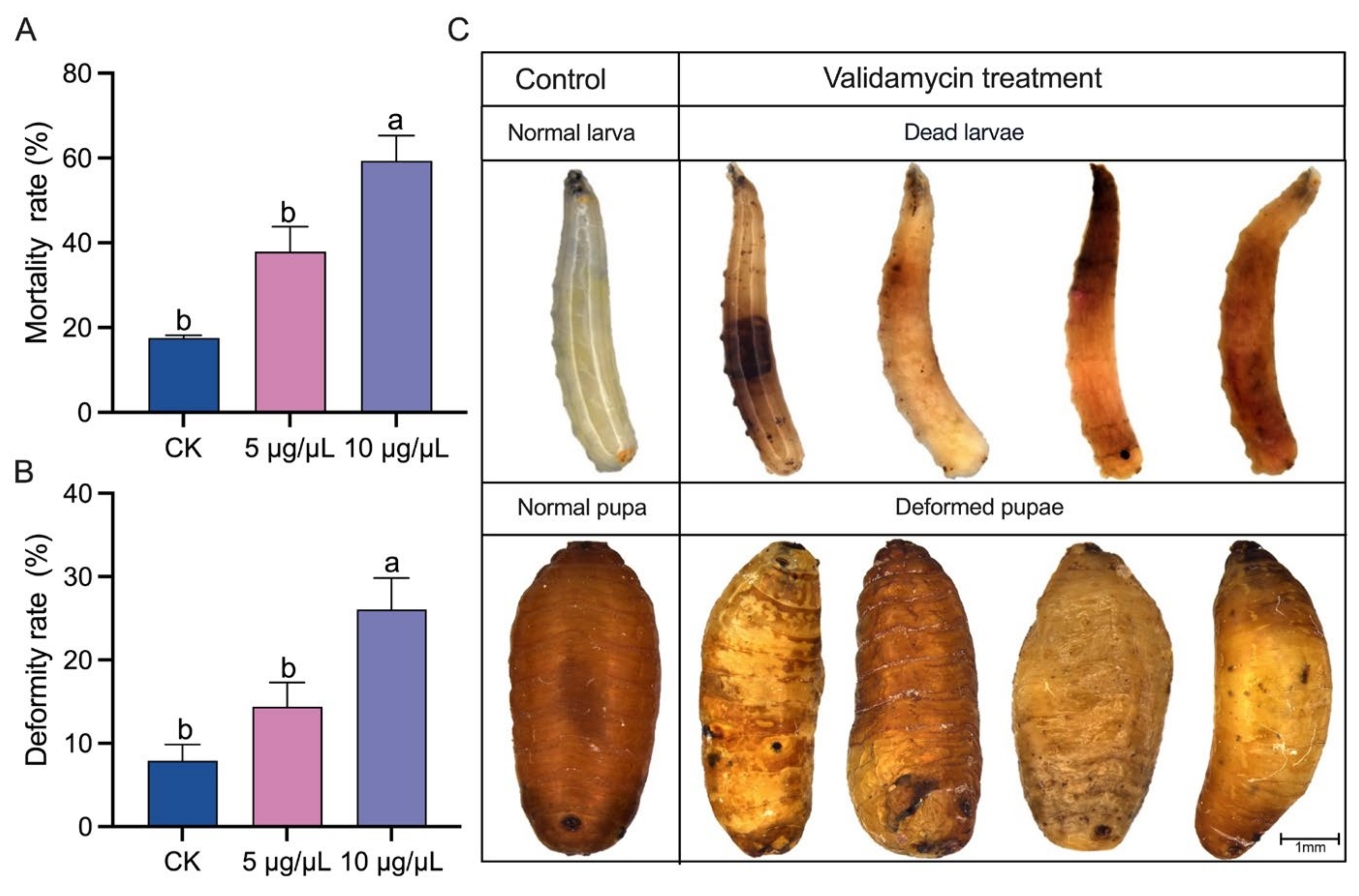 Insects 14 00671 g006