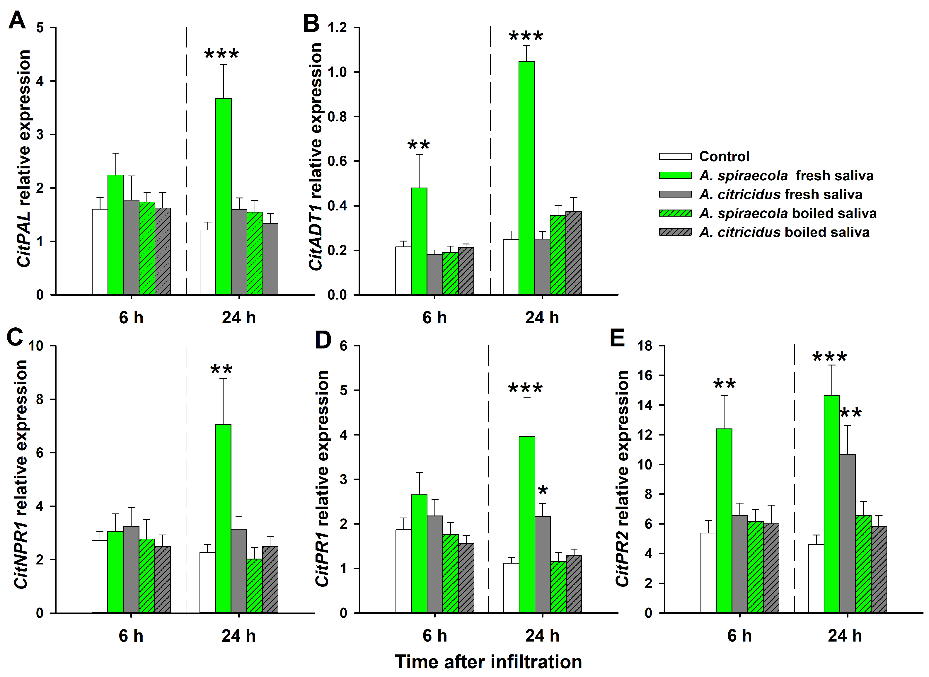 Insects 14 00672 g003
