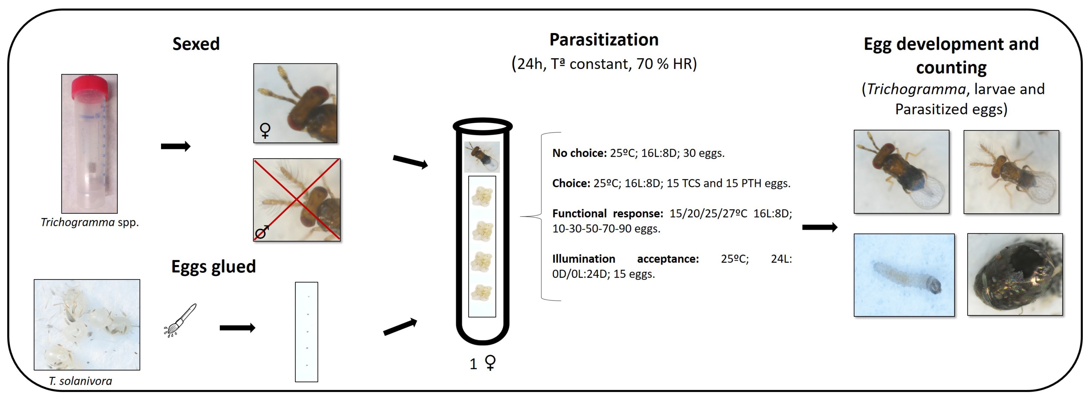 Insects 14 00679 g001 Insects 14 00679 g001