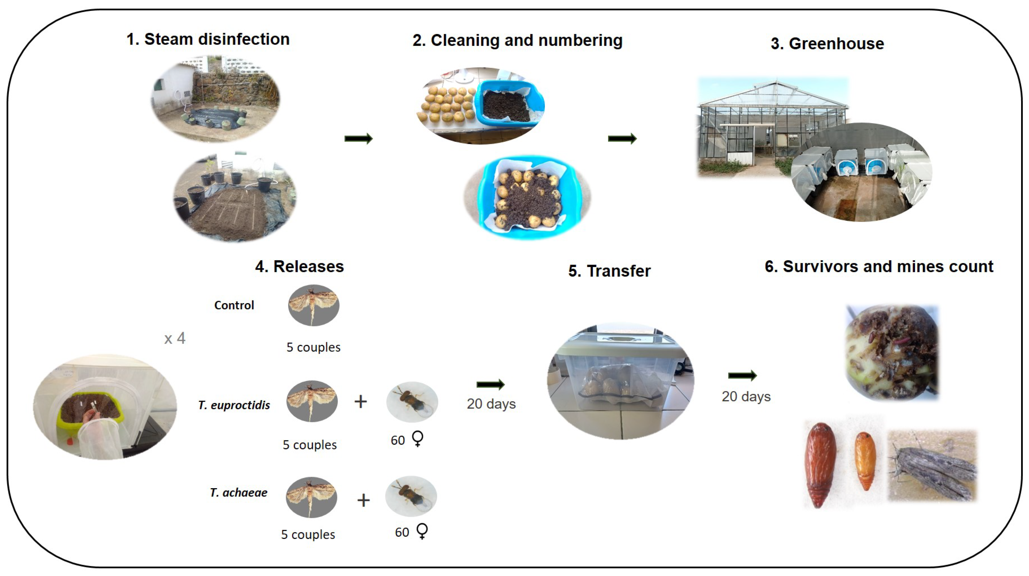 Insects 14 00679 g002 Insects 14 00679 g002