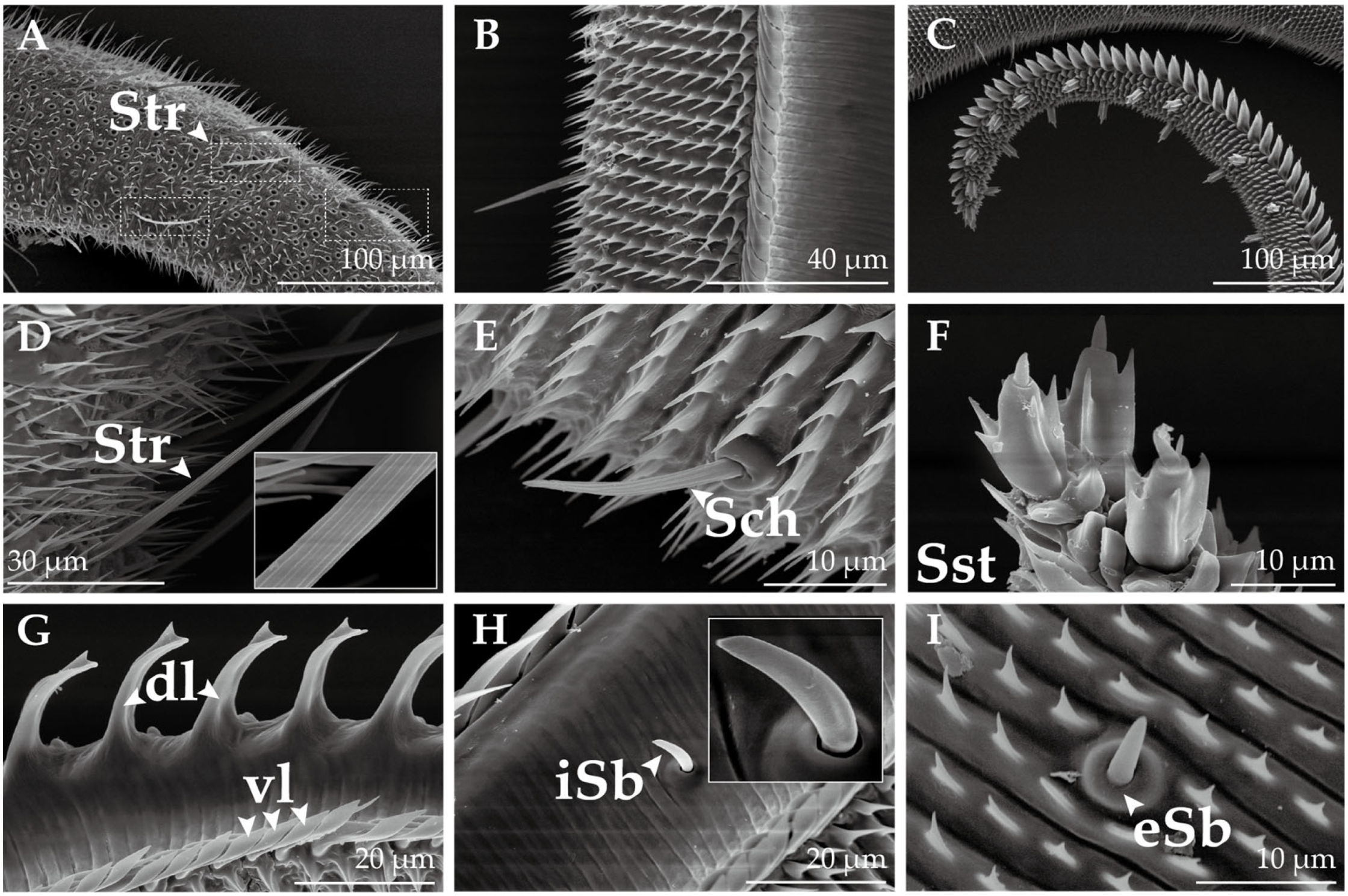 Insects 14 00687 g005