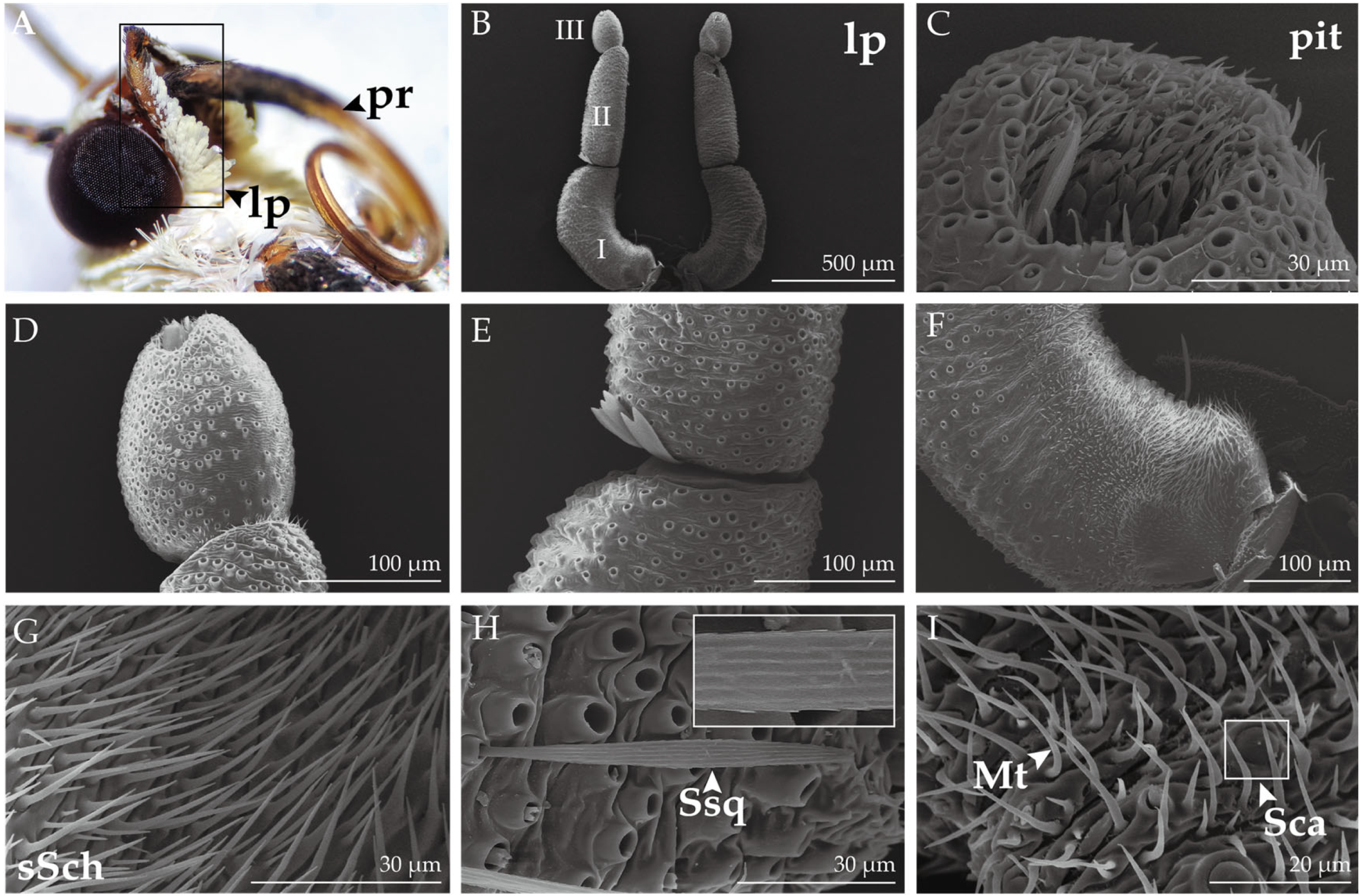 Insects 14 00687 g006