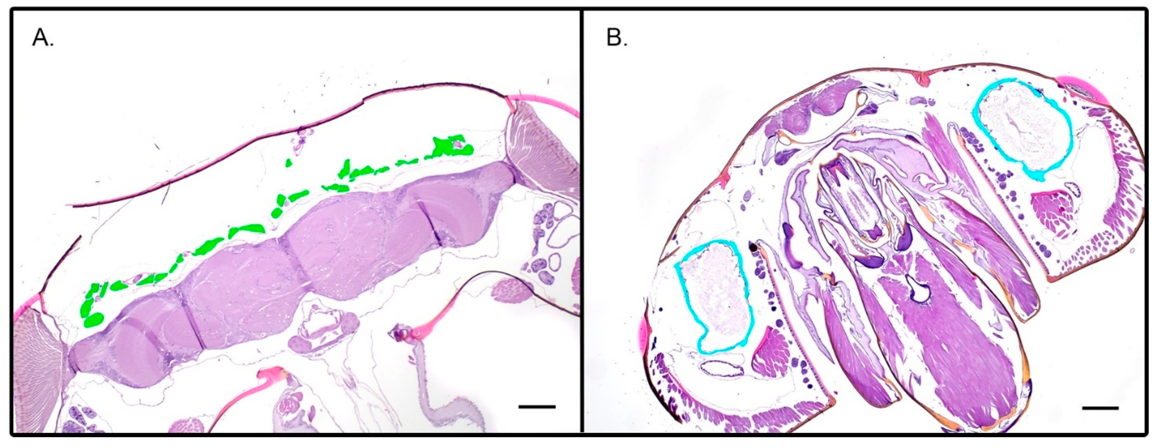 Insects 14 00689 g006 Insects 14 00689 g006