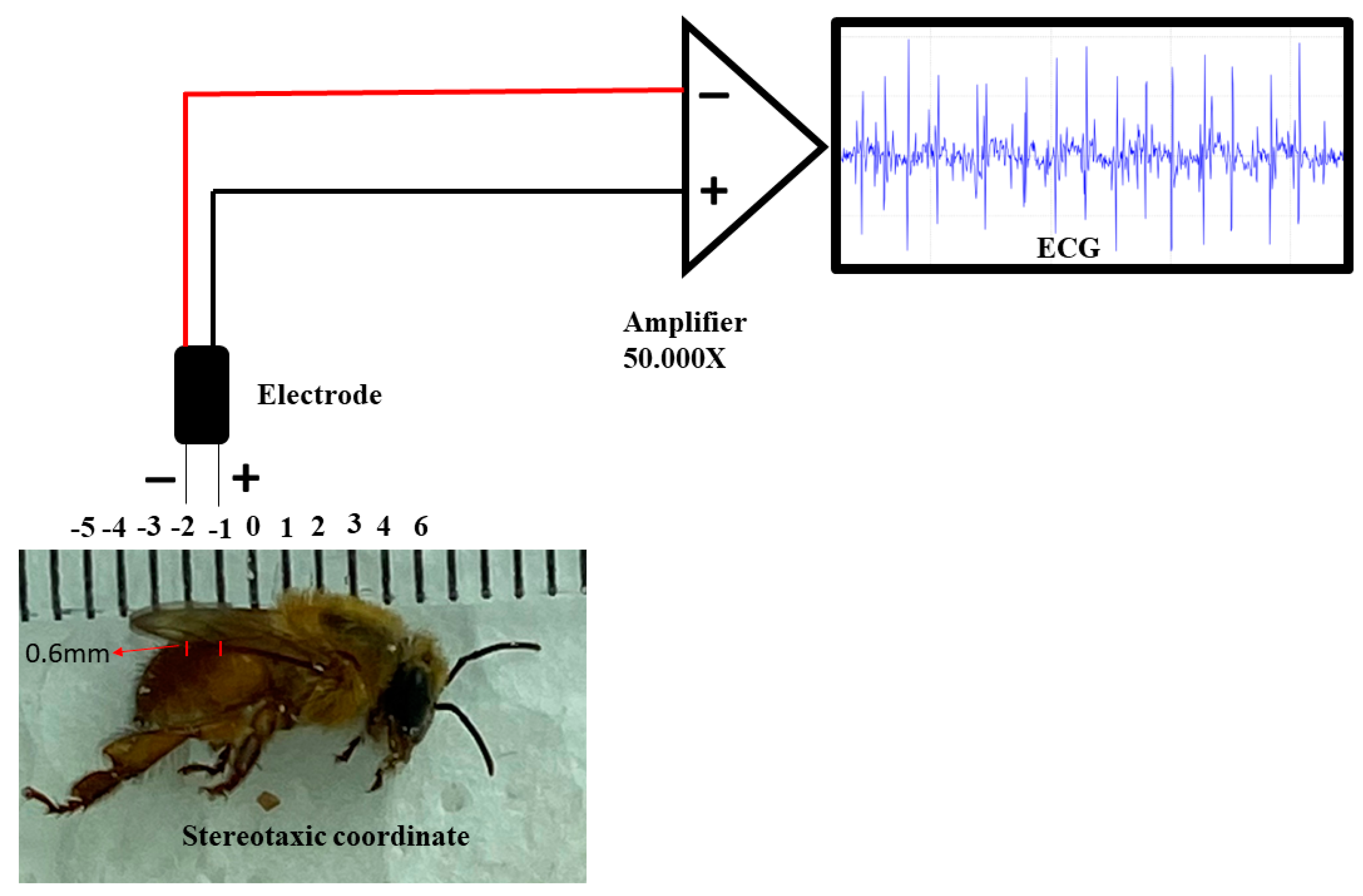 Insects 14 00696 g002 Insects 14 00696 g002
