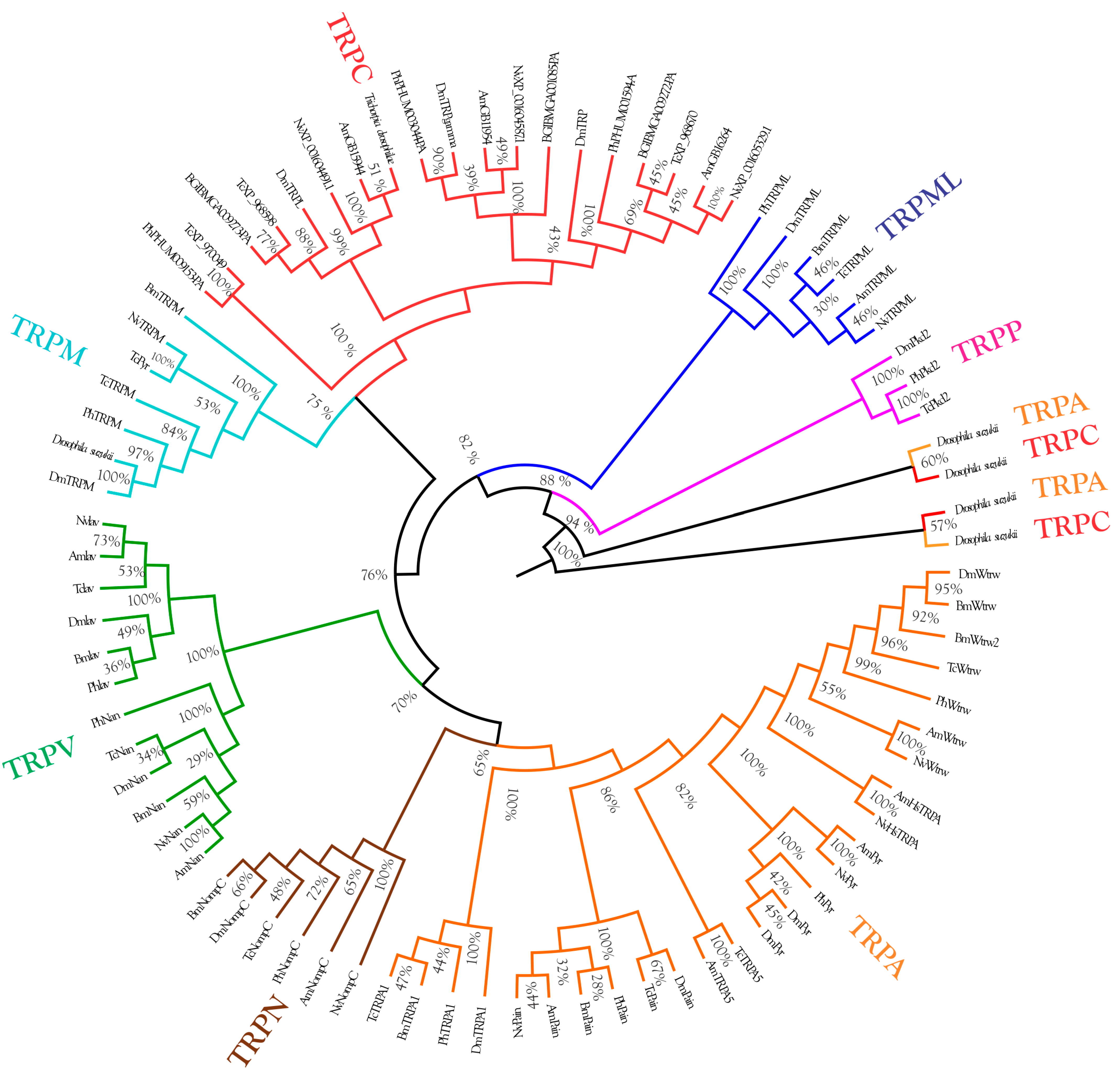 Insects 14 00697 g003