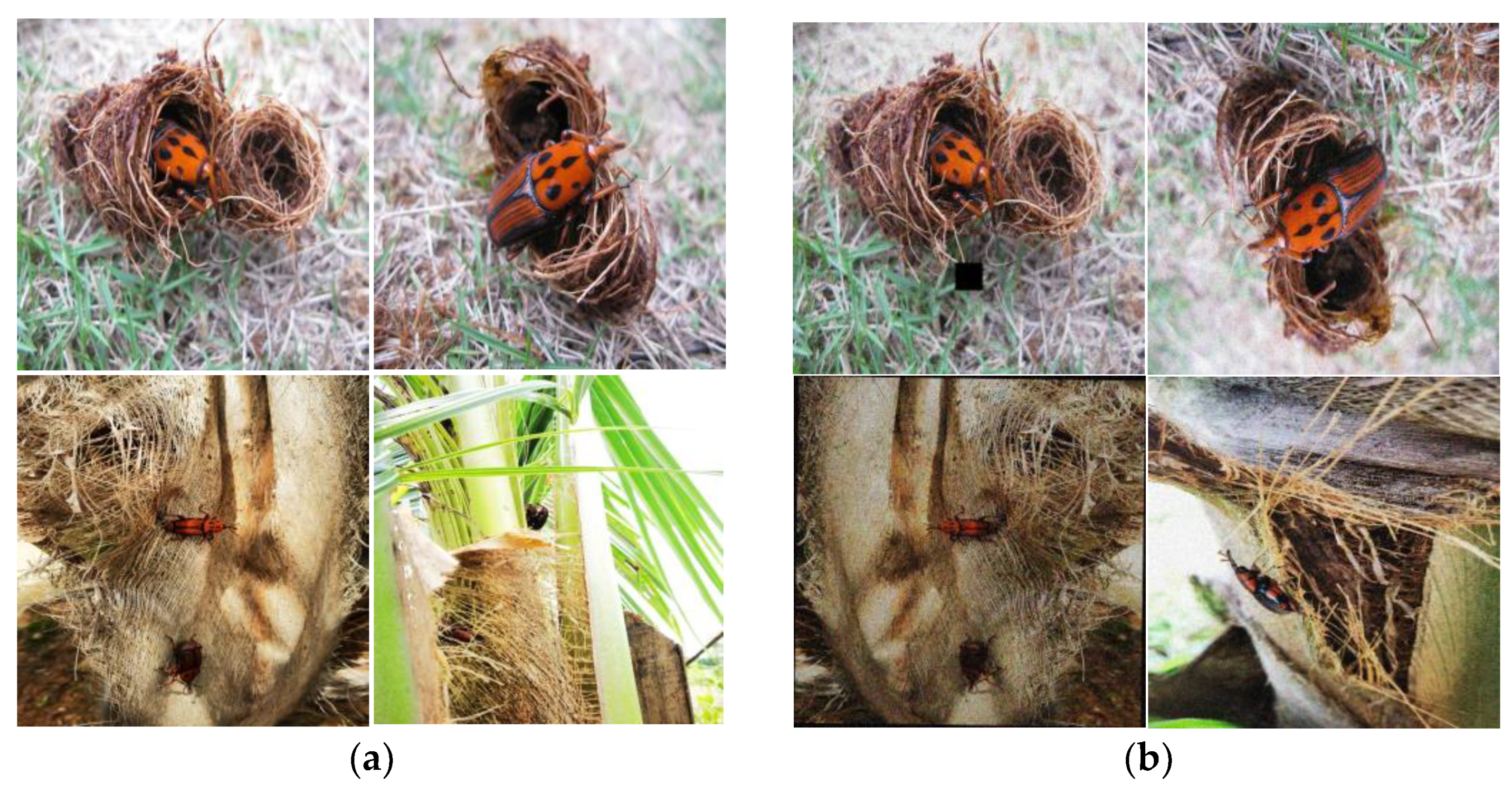 Insects 14 00698 g007 Insects 14 00698 g007