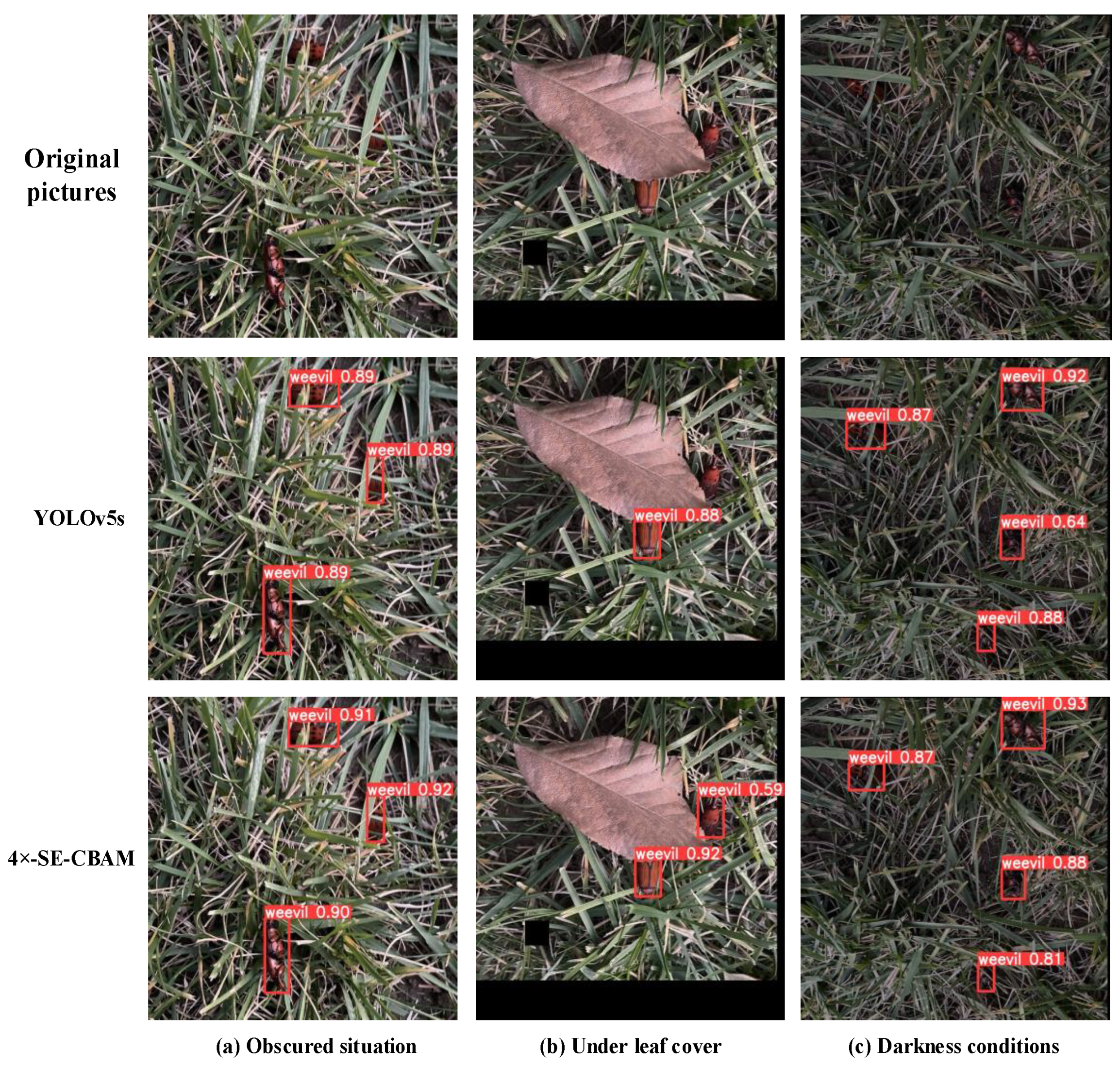 Insects 14 00698 g008 Insects 14 00698 g008